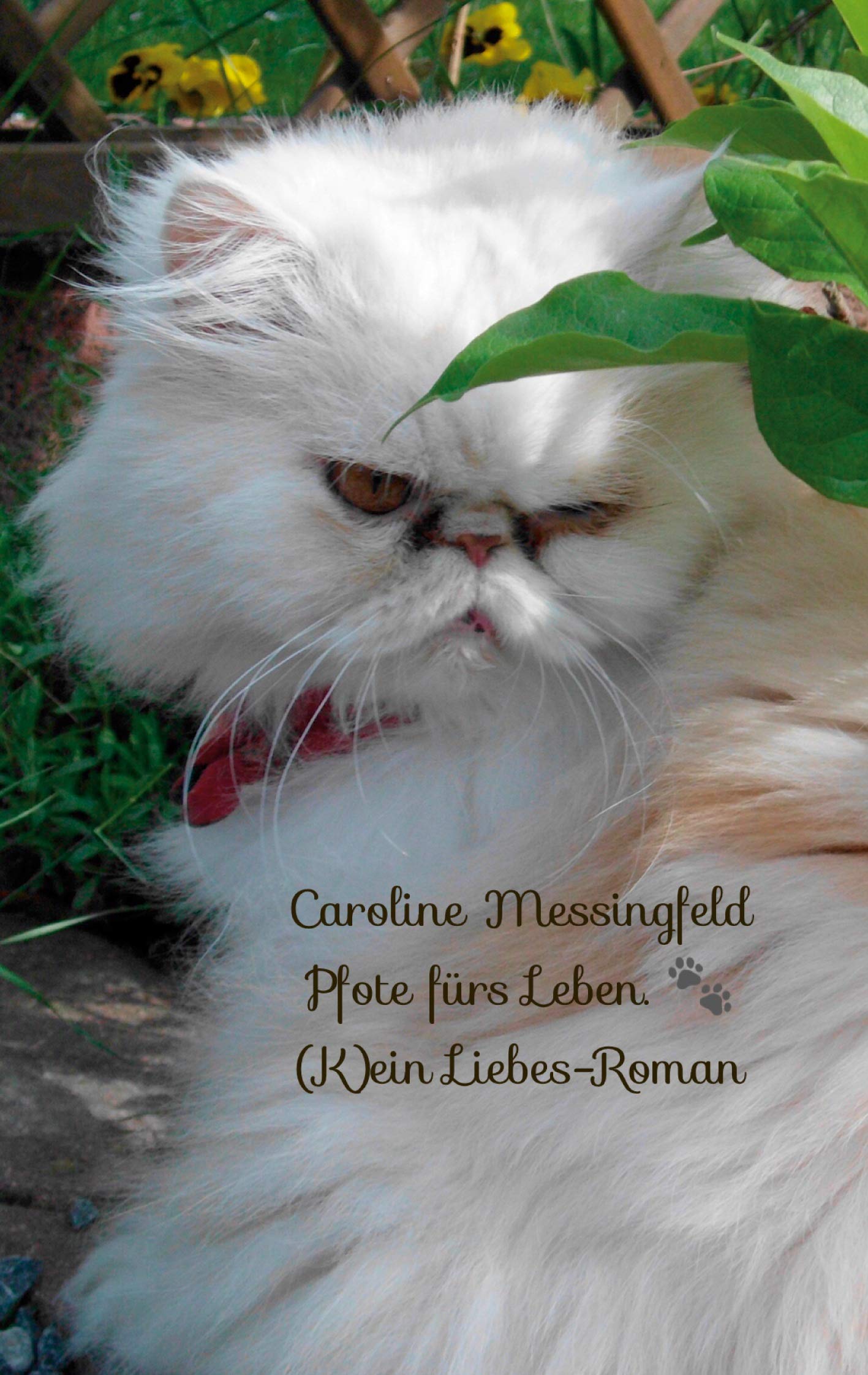 Pfote fürs Leben.: (K)ein Liebes-Roman (Snowbell) Contemporary literature
