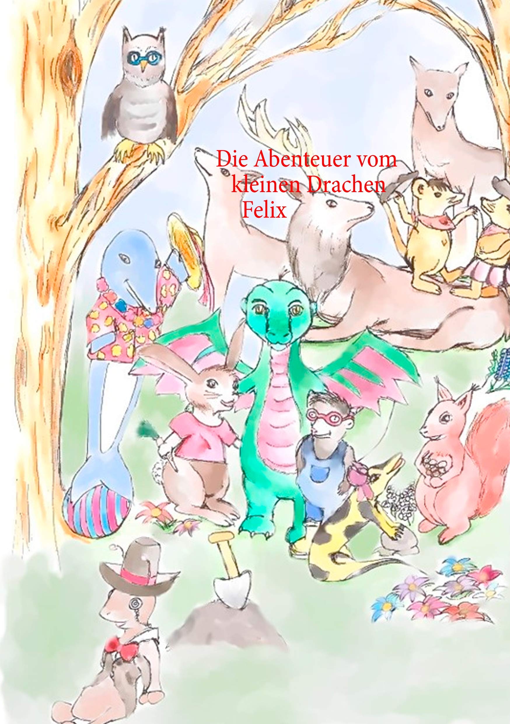 Die Abenteuer vom kleinen Drachen Felix Non-fiction