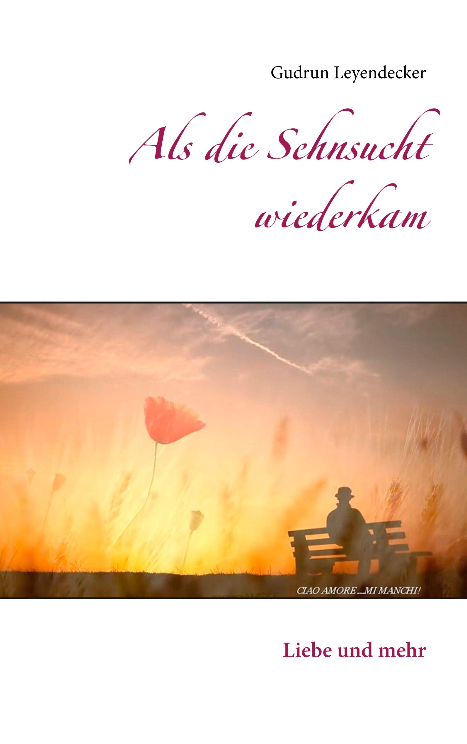 Als die Sehnsucht wiederkam: Liebe und mehr Contemporary literature