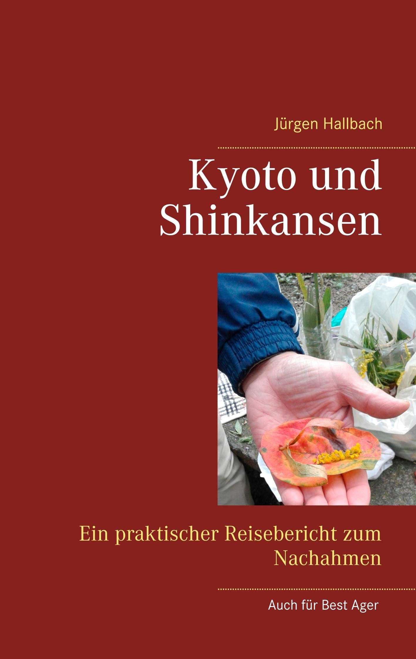 Kyoto und Shinkansen: Ein praktischer Reisebericht zum Nachahmen Leisure, Home & Garden