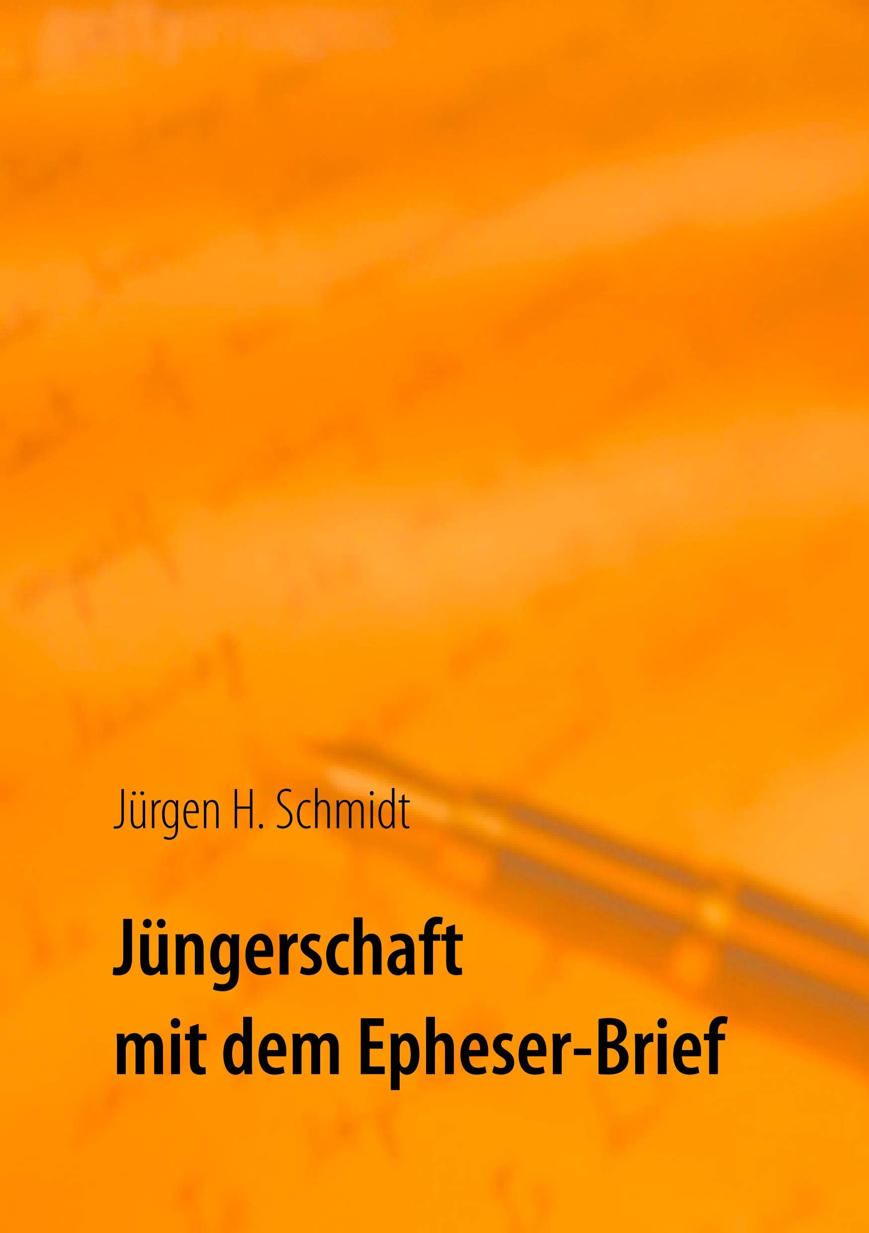 Jüngerschaft mit dem Epheser-Brief Religion & Esotericism