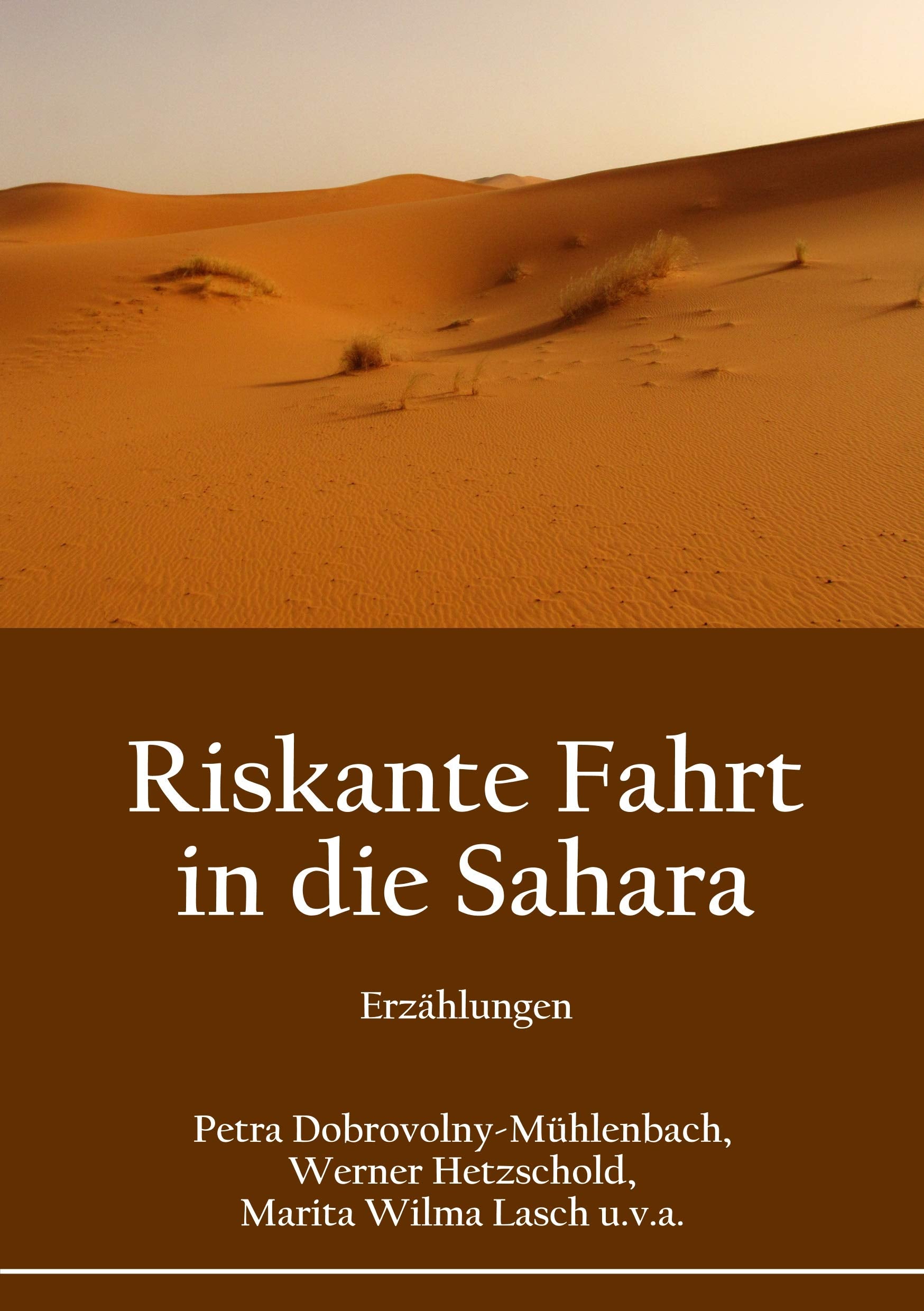 Riskante Fahrt in die Sahara Contemporary literature
