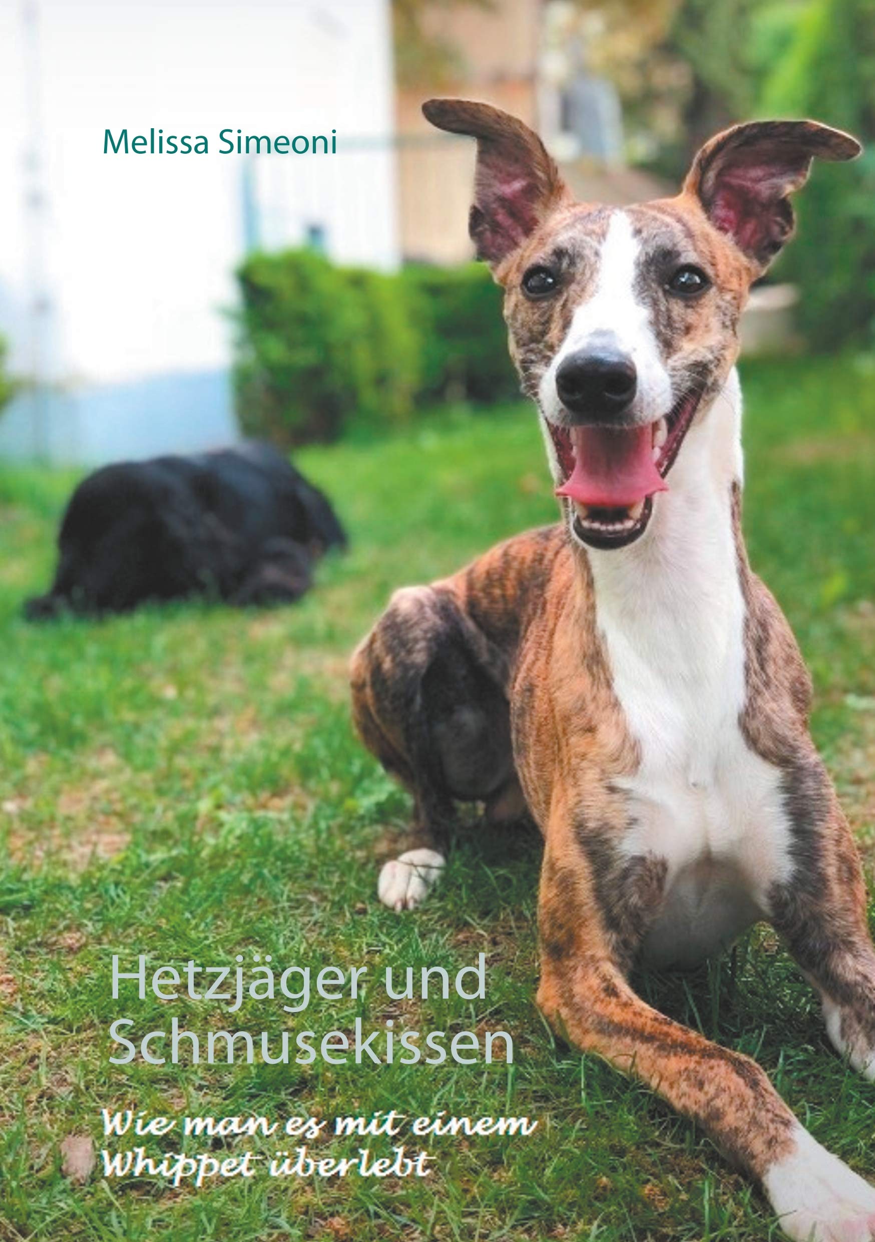 Hetzjäger und Schmusekissen Essays & Short Stories