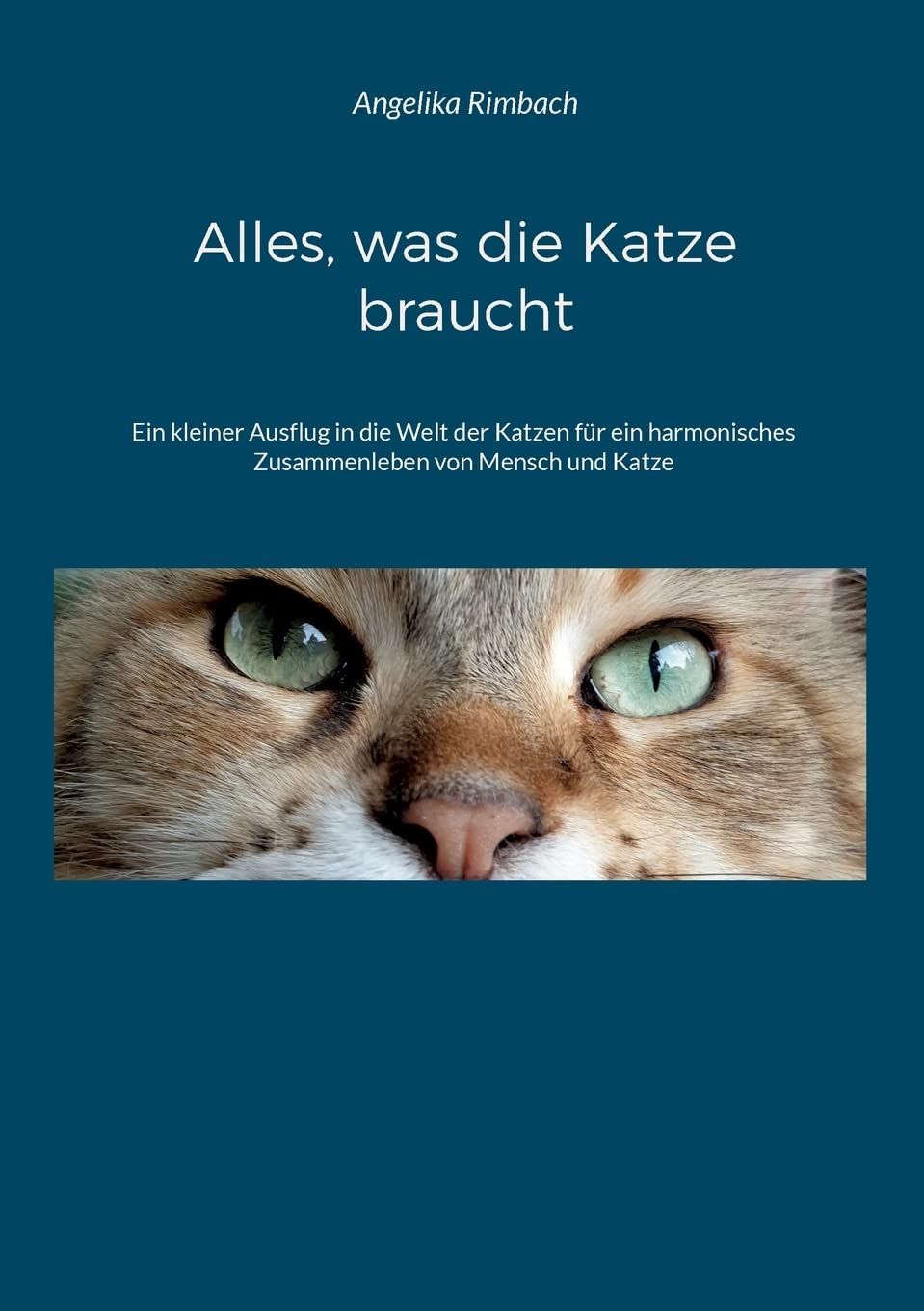 Alles, was die Katze braucht: Ratgeber Law