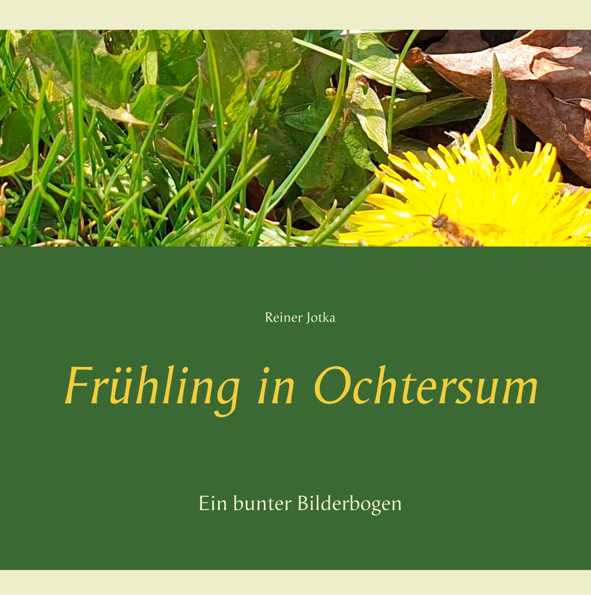 Frühling in Ochtersum: Ein bunter Bilderbogen Contemporary literature
