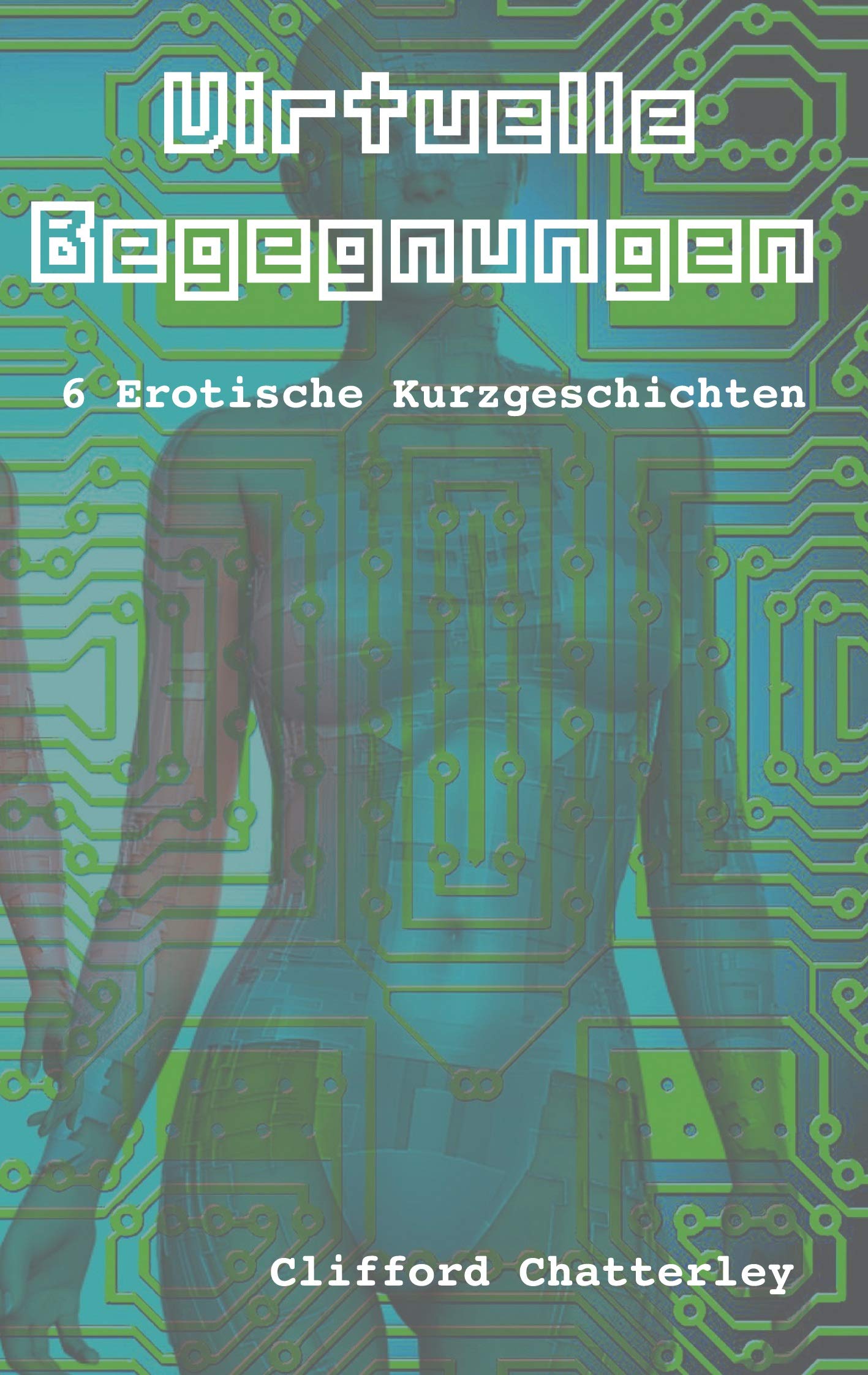 Virtuelle Begegnungen: 6 erotische Kurzgeschichten Contemporary literature