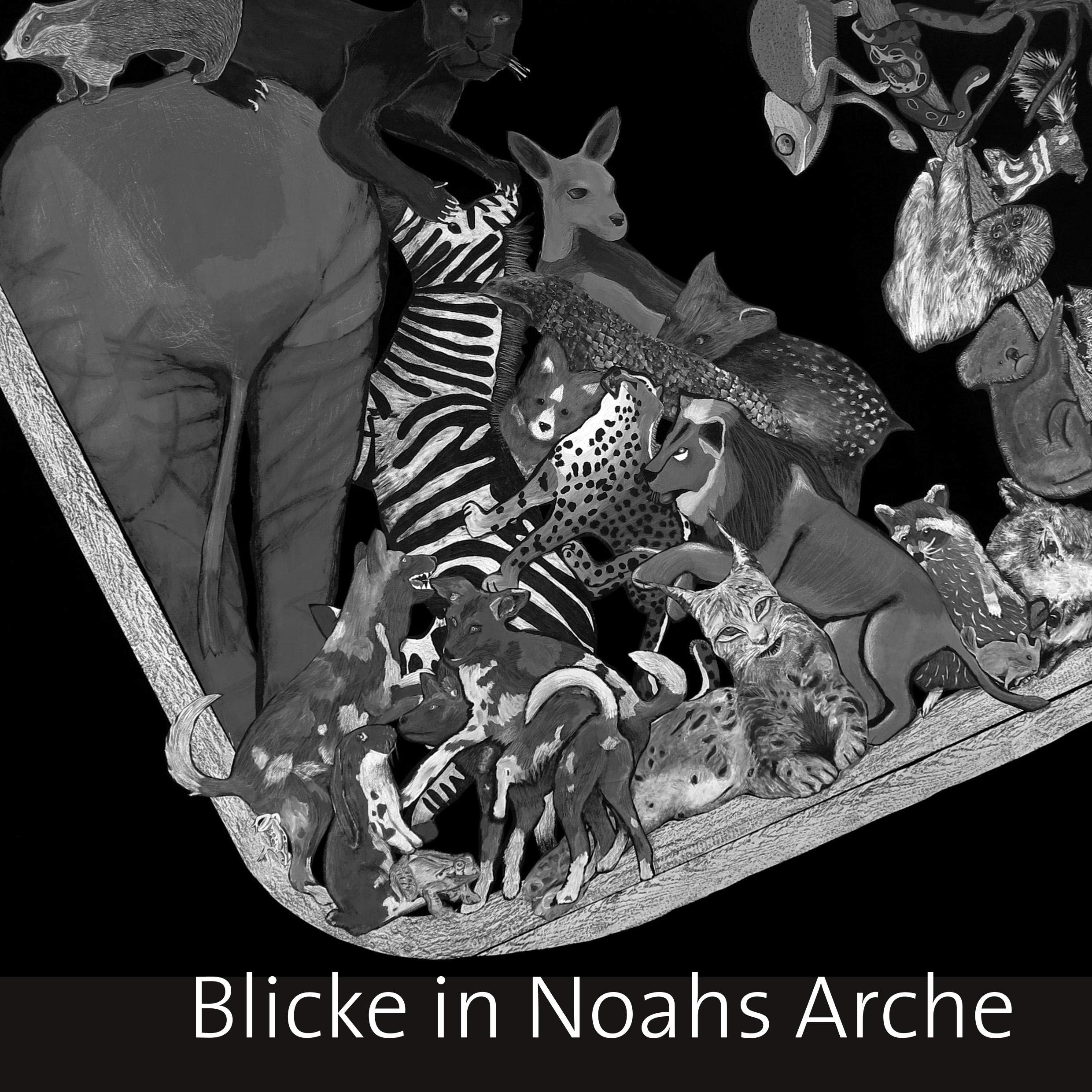 Blicke in Noahs Arche Second-hand books on film, art and culture