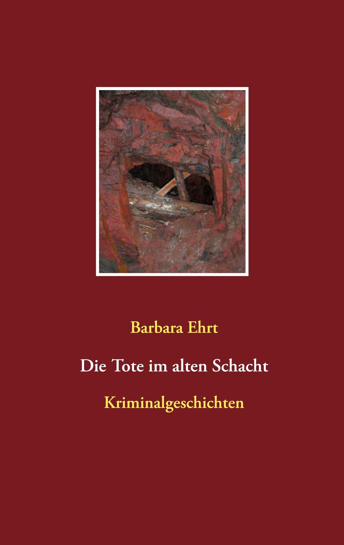 Die Tote im alten Schacht: Kriminalgeschichten Contemporary literature
