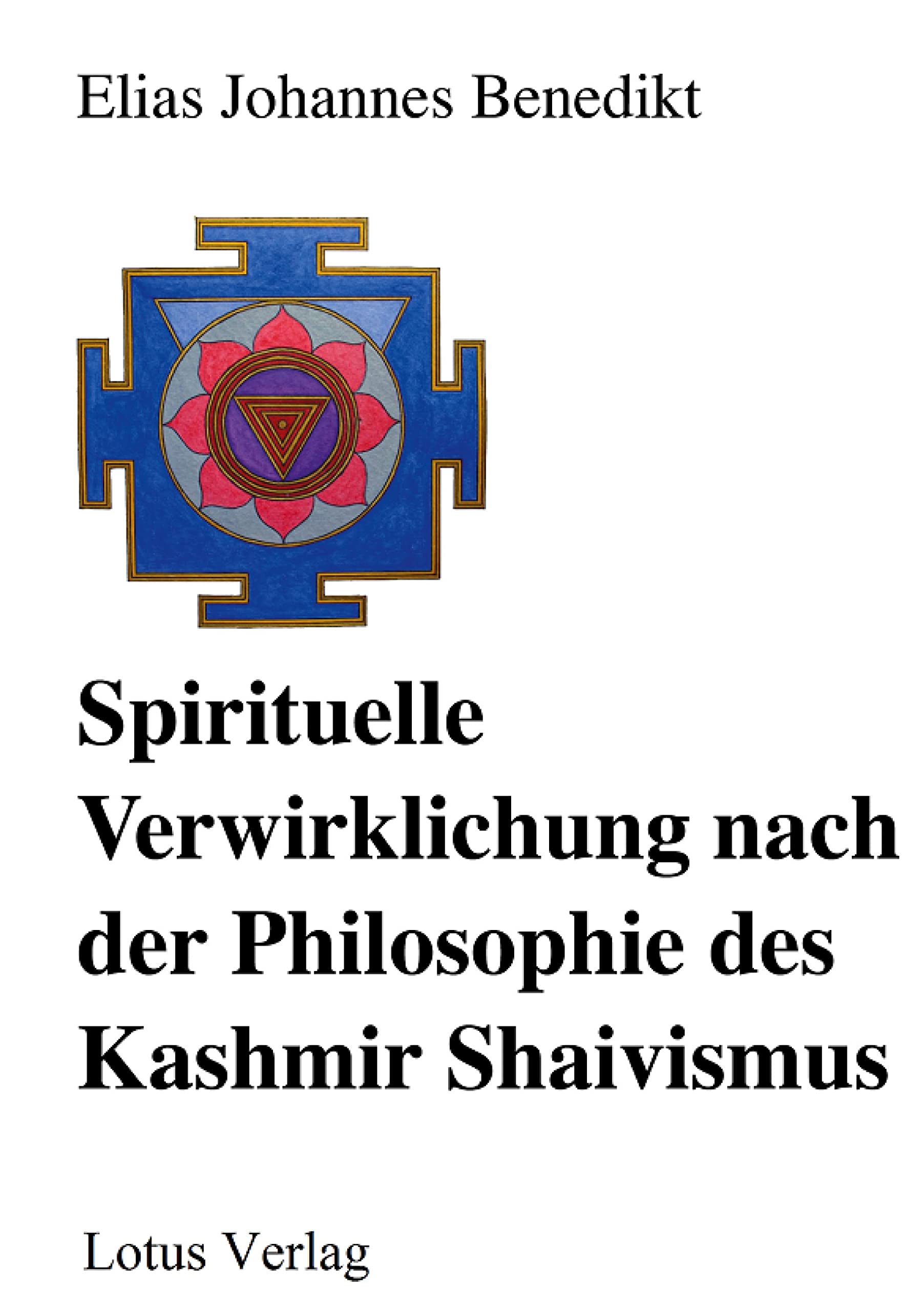 Spirituelle Verwirklichung nach der Philosophie des Kashmir Shaivismus Philosophy