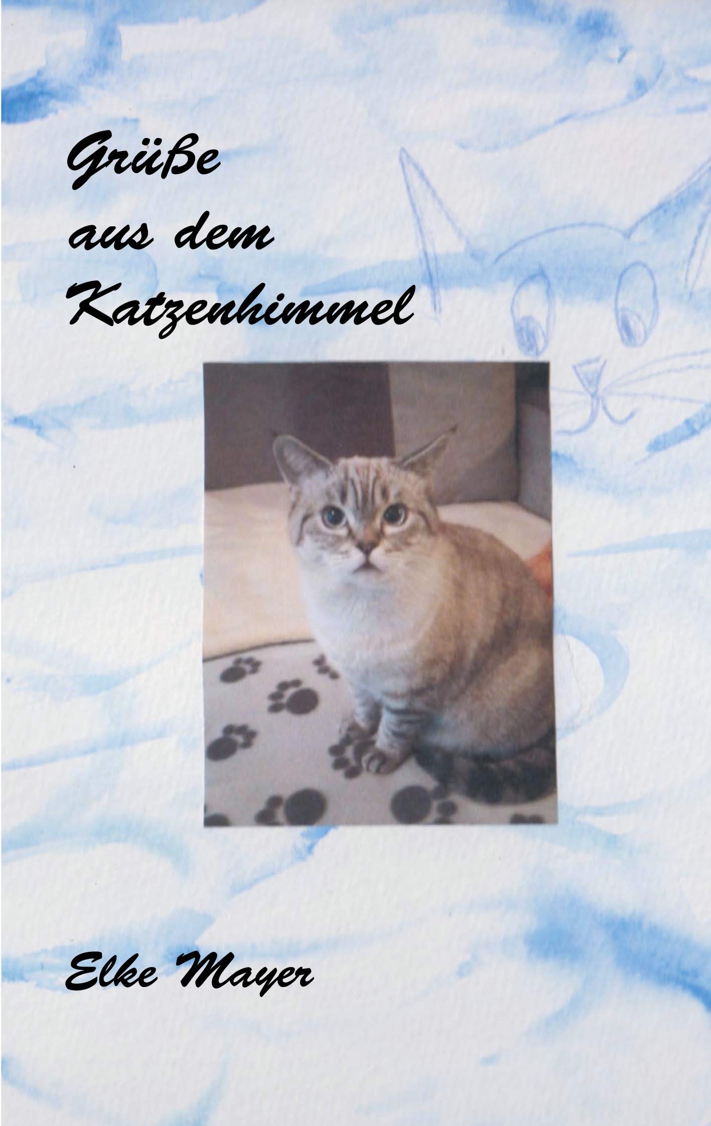 Grüße aus dem Katzenhimmel Humour & Satire
