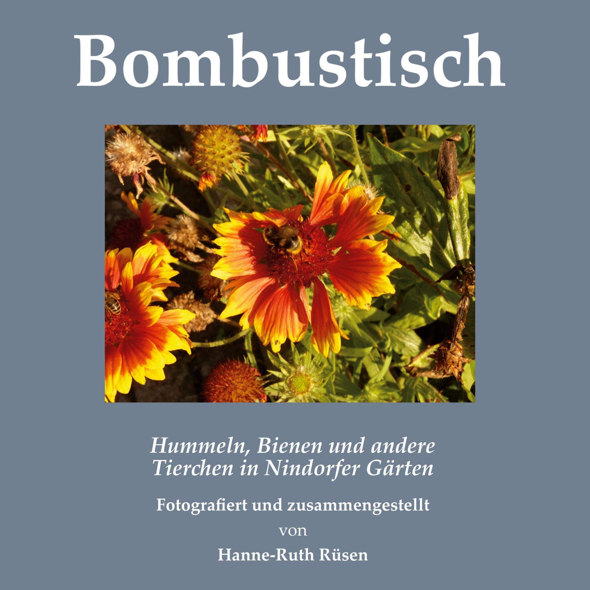 Bombustisch: Hummeln, Bienen und andere Tierchen in Nindorfer Gärten Garden & Plants