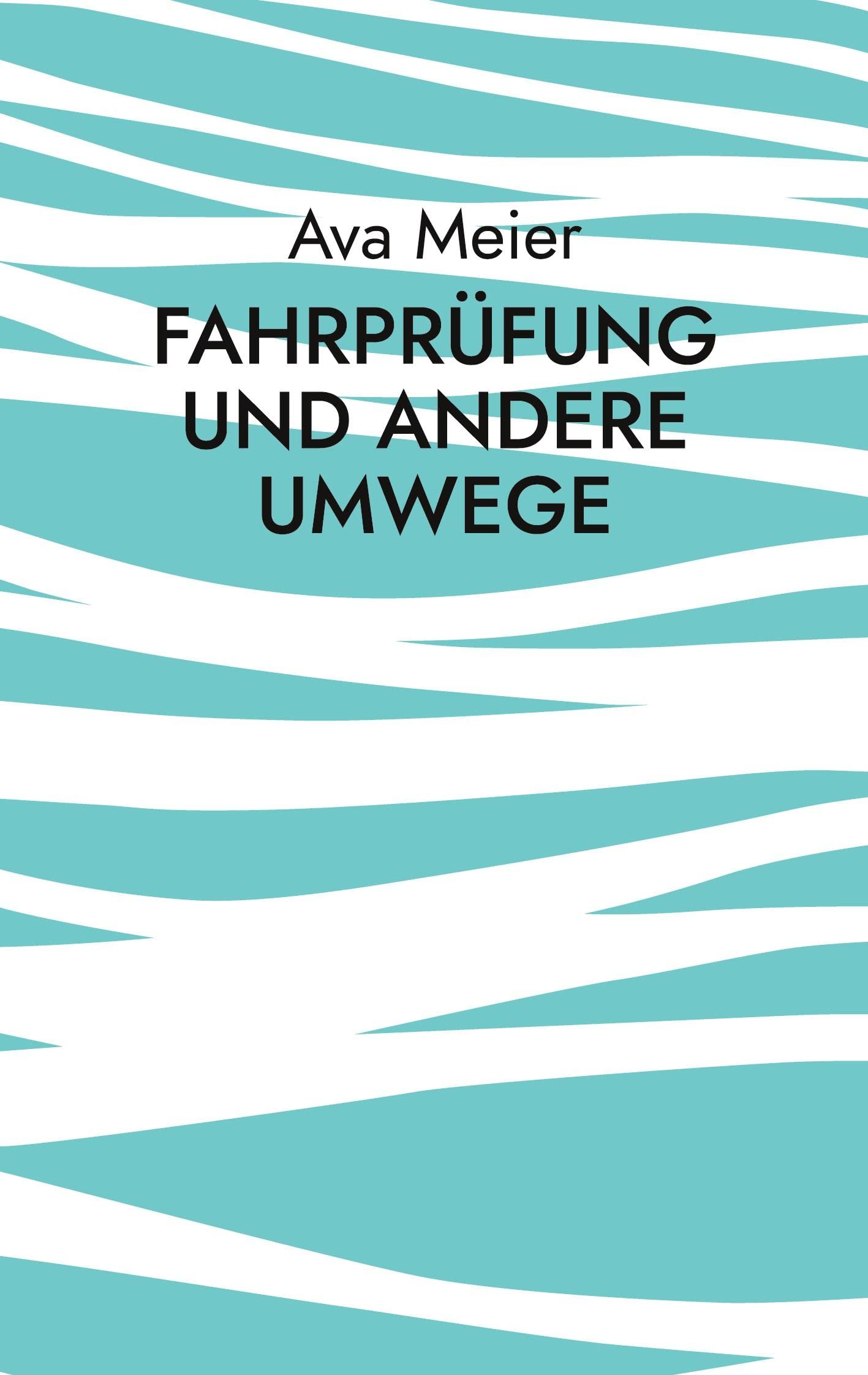 Fahrprüfung und andere Umwege Contemporary literature