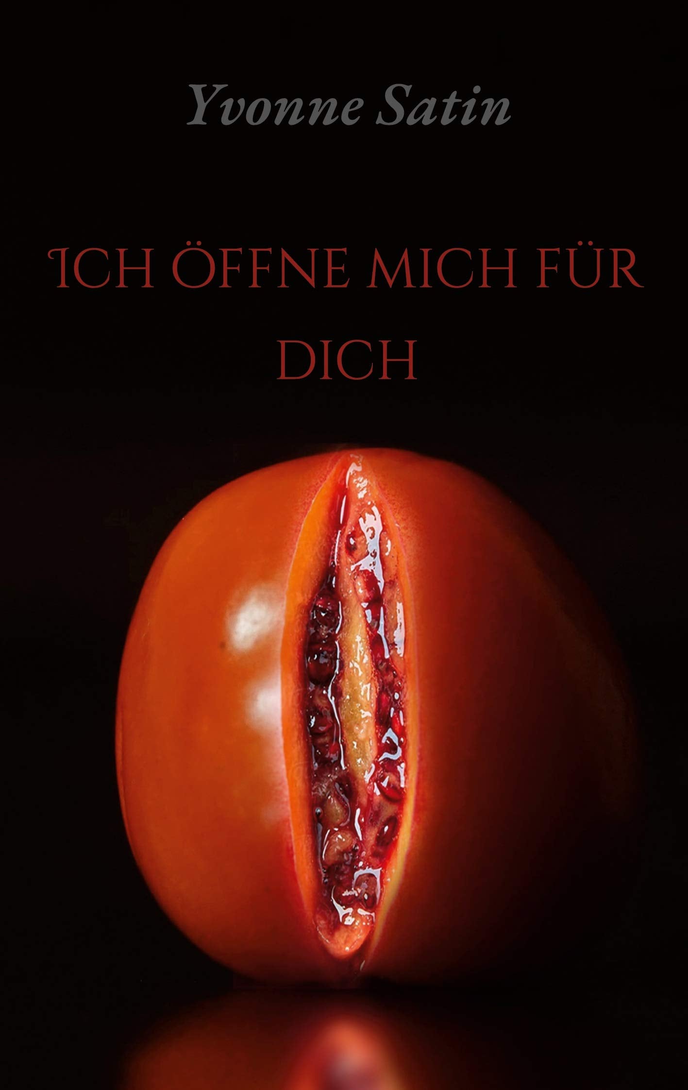 Ich öffne mich für dich book