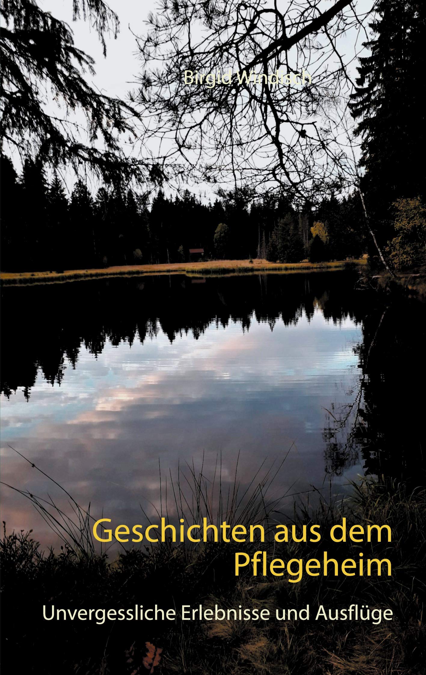 Geschichten aus dem Pflegeheim: Unvergessliche Erlebnisse und Ausflüge Humour & Satire