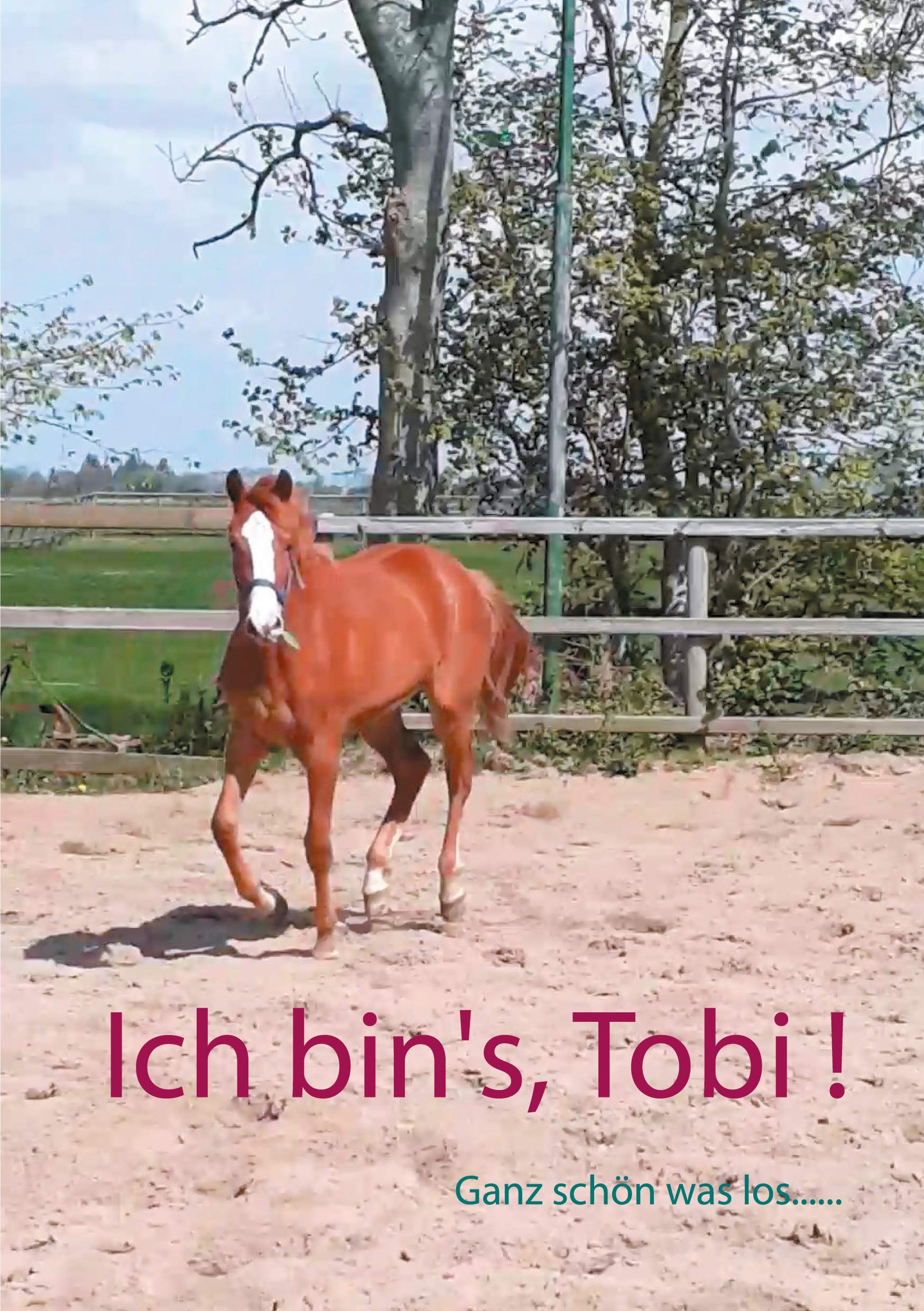 Ich bin's, Tobi !: Ganz schön was los.... Pets