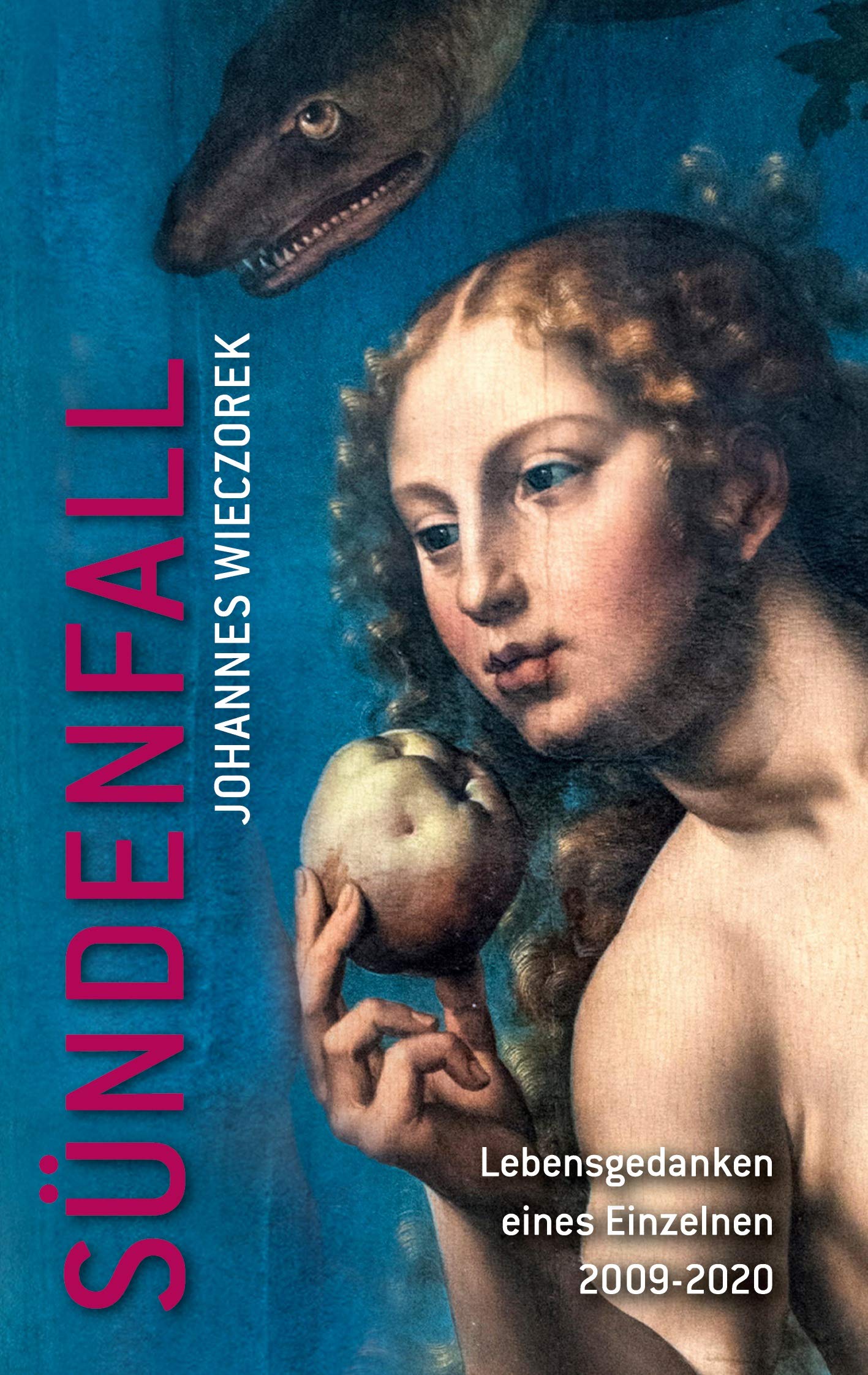 Sündenfall - Lebensgedanken eines Einzelnen 2009-2020 book