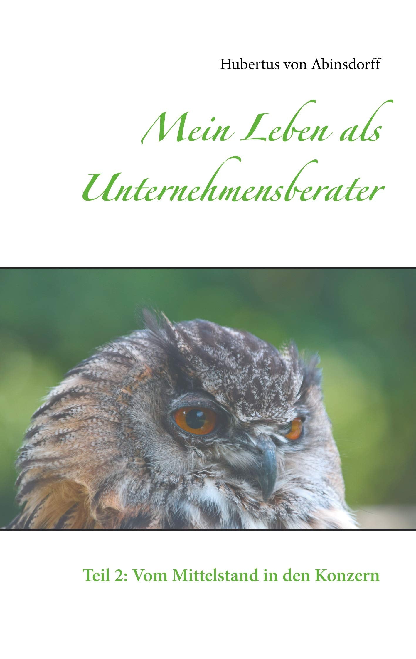 Mein Leben als Unternehmensberater Law