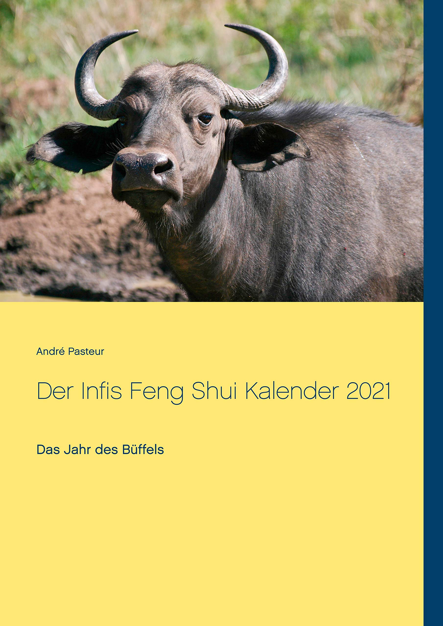 Der Infis Feng Shui Kalender 2021: Das Jahr des Büffels Religion & Esotericism