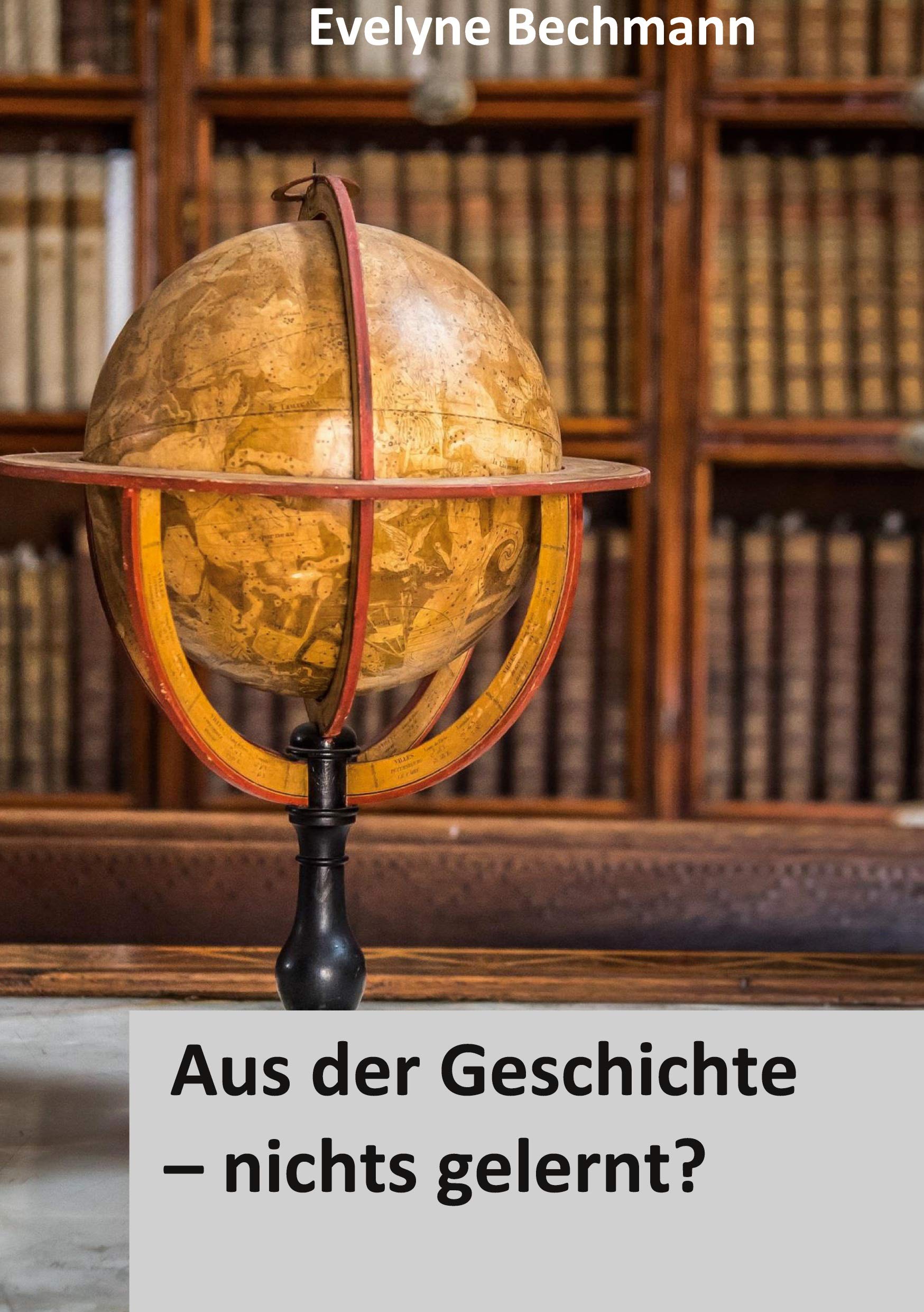 Aus der Geschichte nichts gelernt? Books