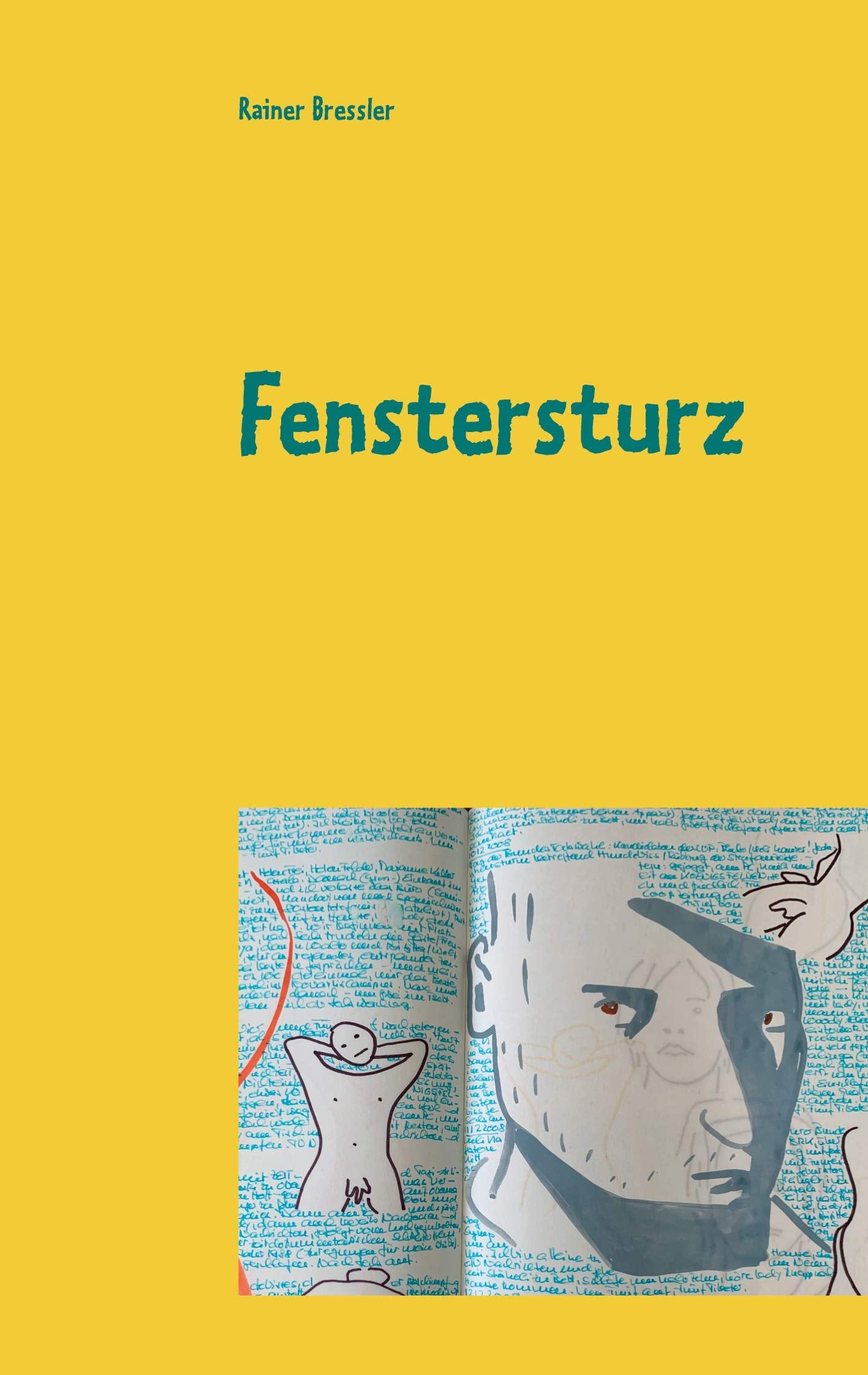 Fenstersturz: Krimi-Satire Contemporary literature