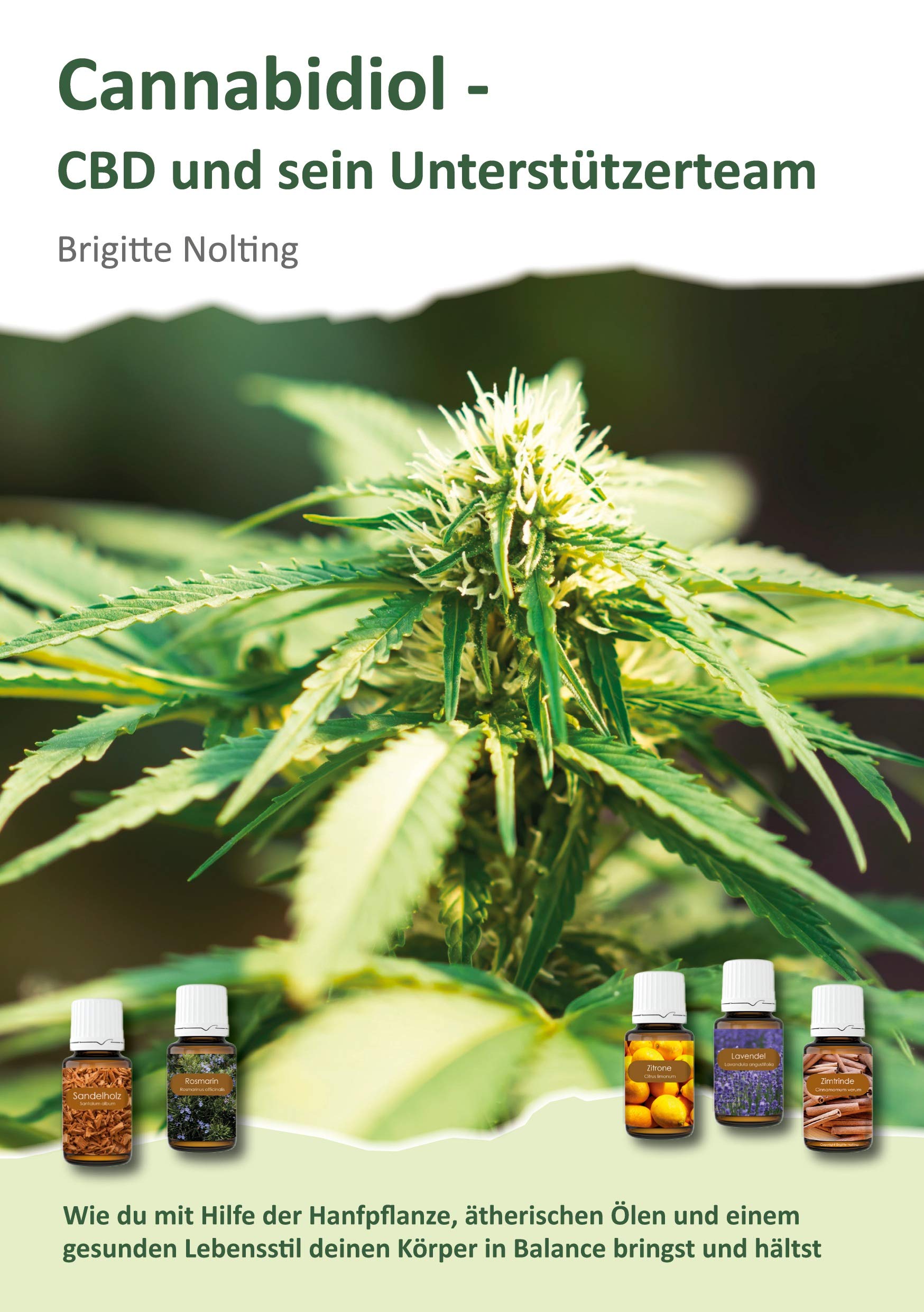 Cannabidiol - CBD und sein Unterstützerteam: Mit CBD zu körperlicher und mentaler Balance Religion & Esotericism
