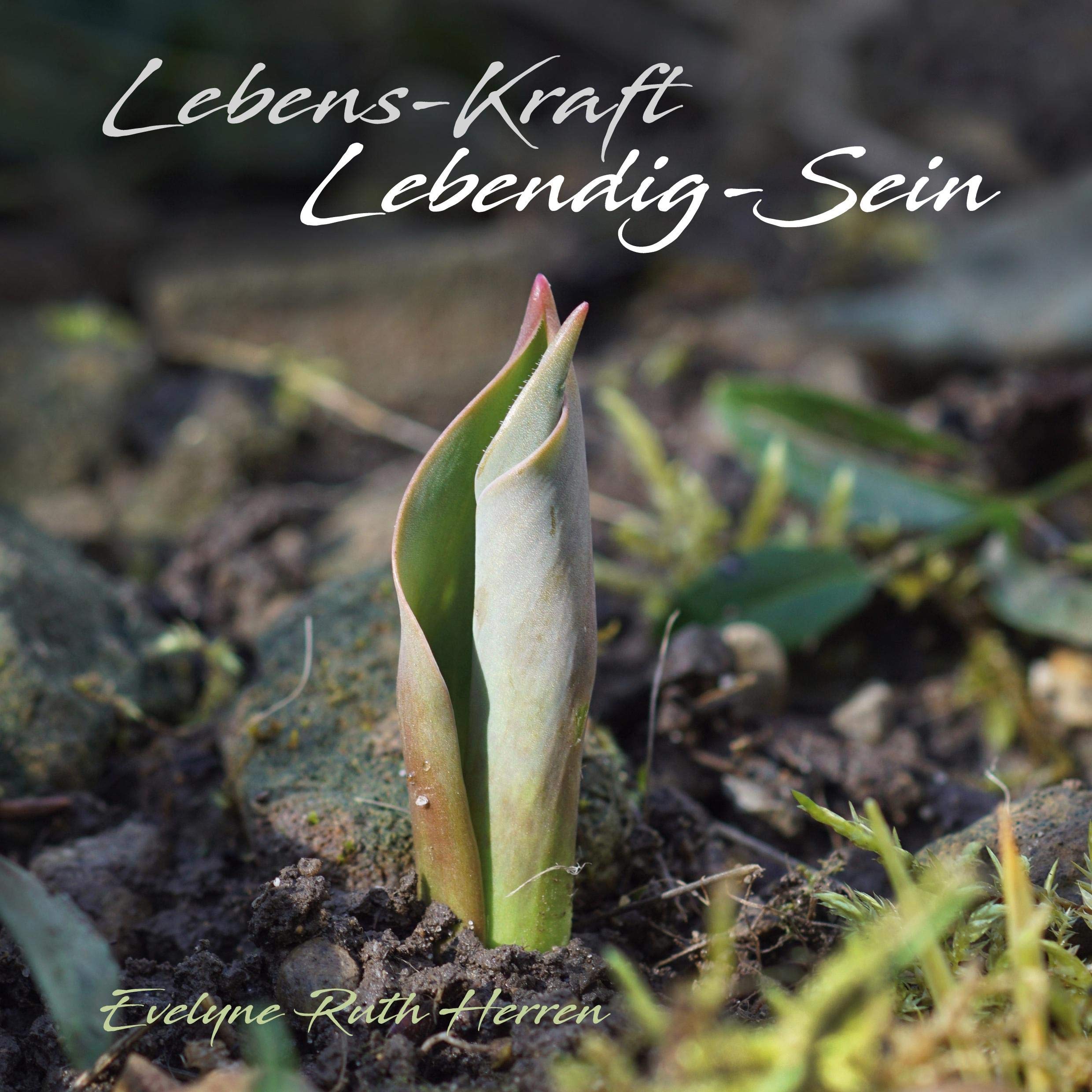Lebens-Kraft Lebendig-Sein: Eine Anregung und eine Inspiration, wie ich in nächster Umgebung die Lebens-Kraft entdecken - in mir erwecken - und auf diese Weise lebendig werden kann. Photography