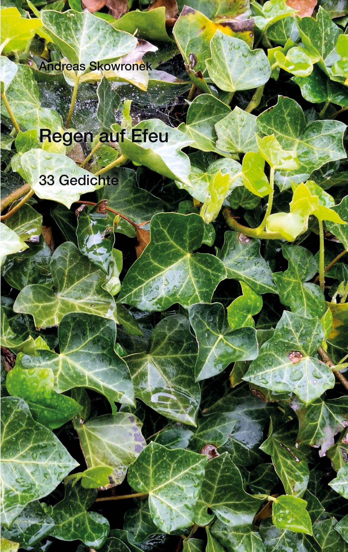 Product Image: Regen auf Efeu