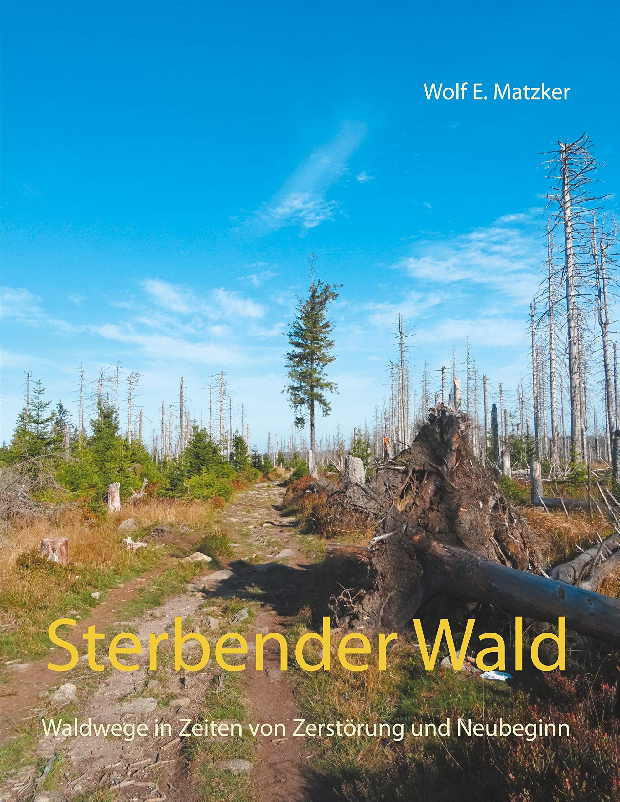 Sterbender Wald: Waldwege in Zeiten von Zerstörung und Neubeginn Contemporary literature