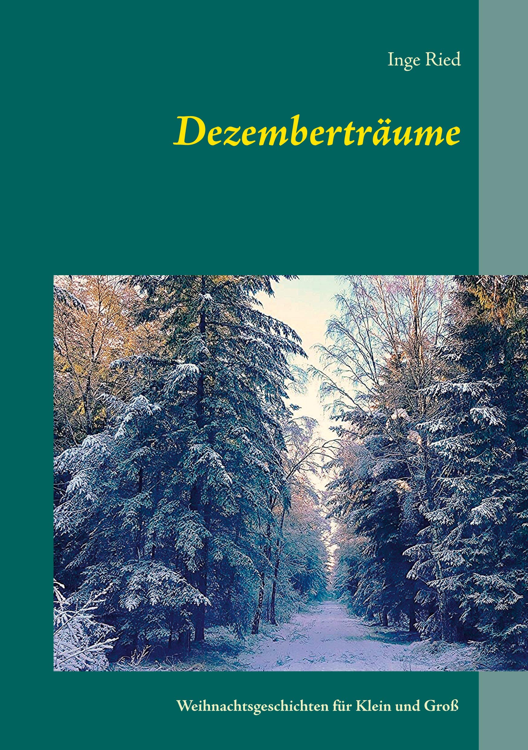 Dezemberträume: Weihnachtsgeschichten für Klein und Groß Children's books