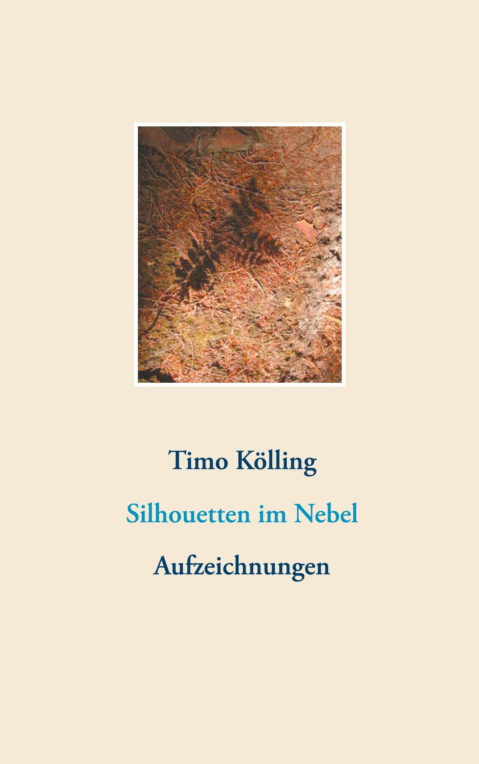 Silhouetten im Nebel: Aufzeichnungen Poetry