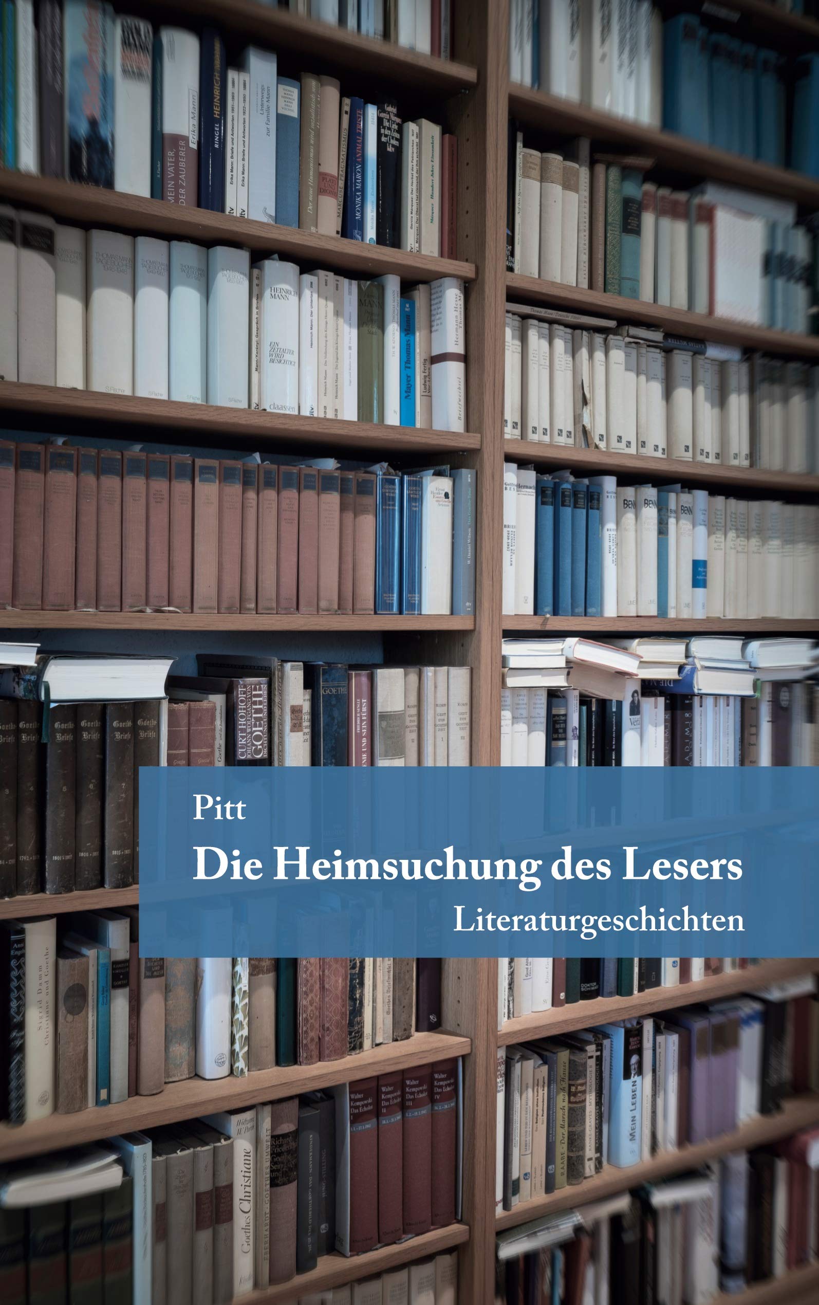 Die Heimsuchung des Lesers: Literaturgeschichten Contemporary literature
