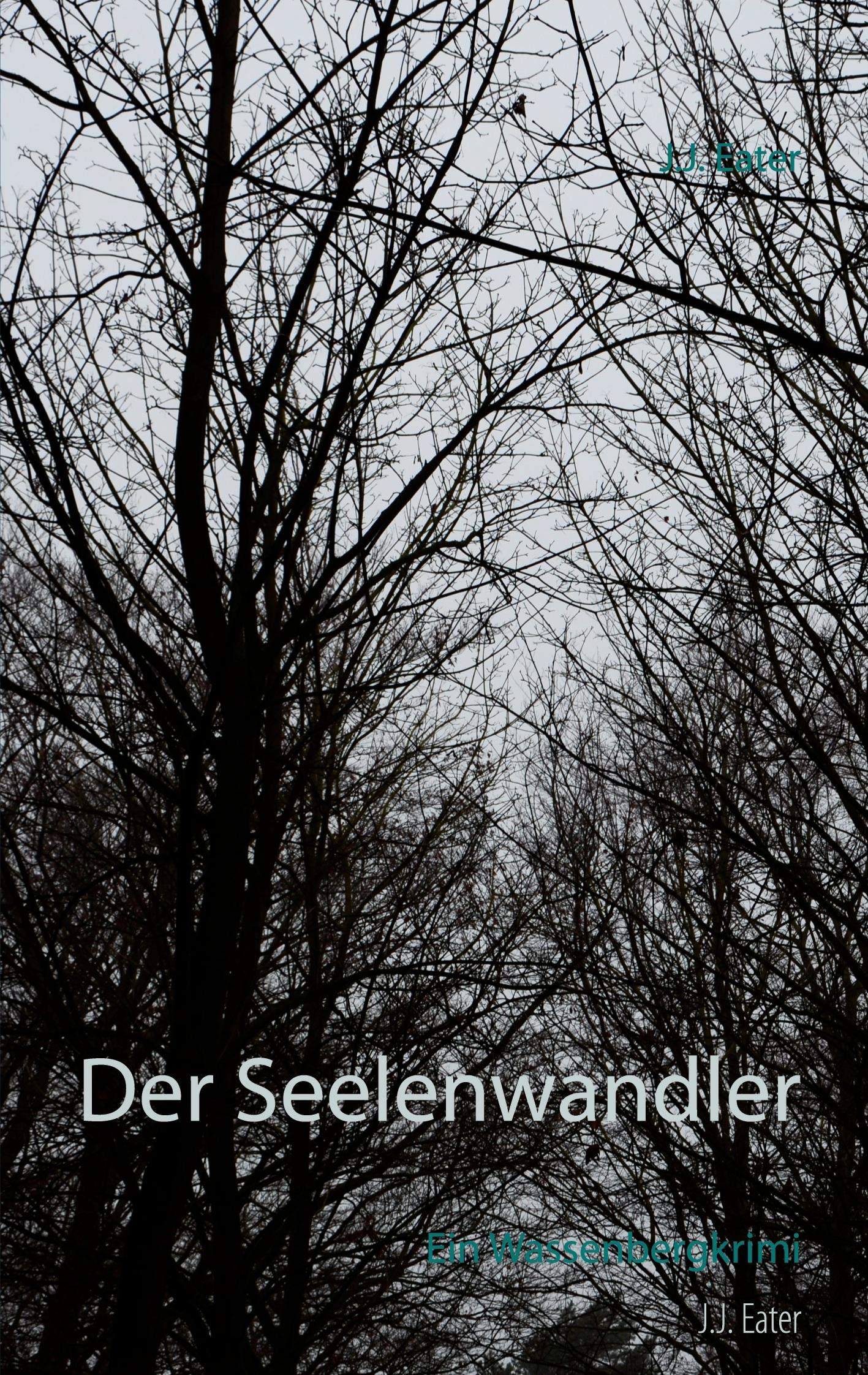 Der Seelenwandler: Ein Wassenbergkrimi Action & Adventure