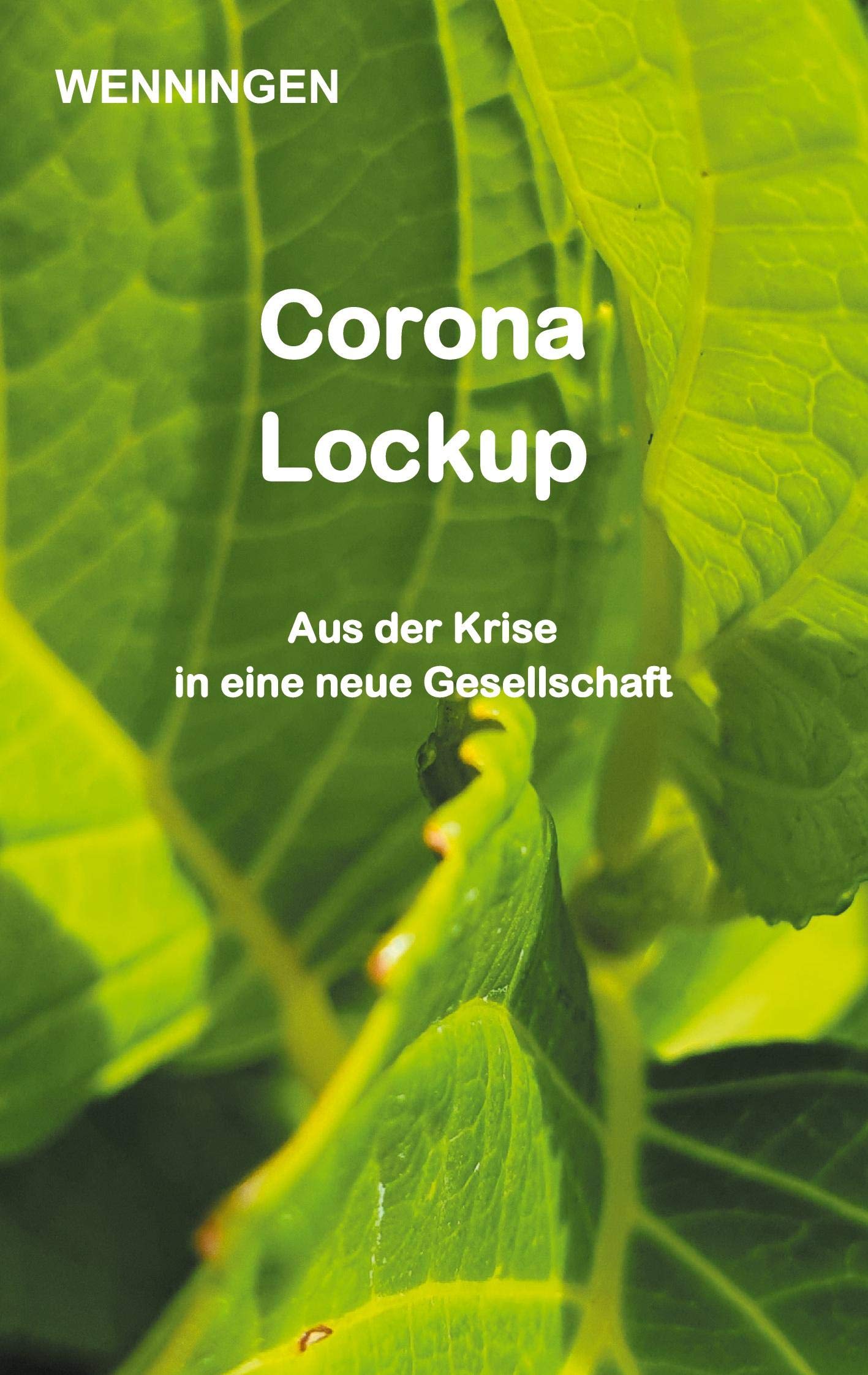 Corona Lockup: Aus der Krise in eine neue Gesellschaft Books