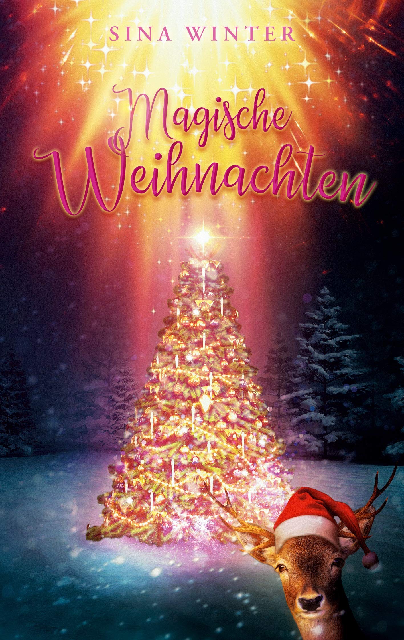 Magische Weihnachten Contemporary literature