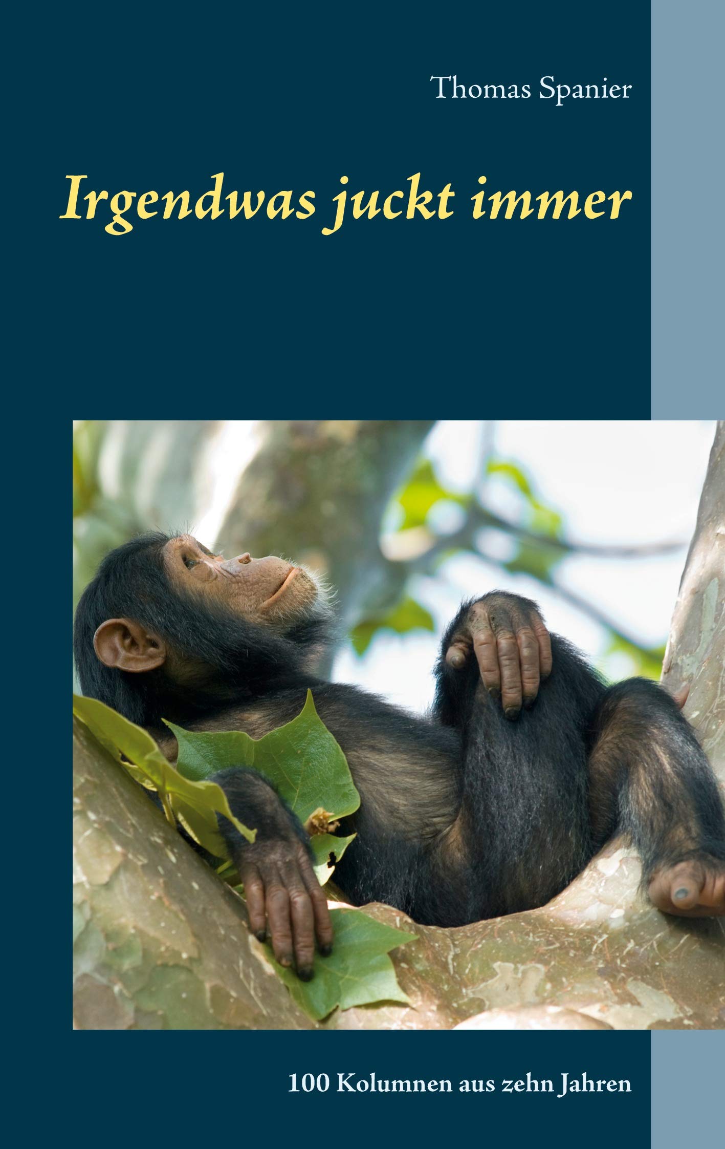 Irgendwas juckt immer: 100 Kolumnen aus zehn Jahren Essays & Short Stories