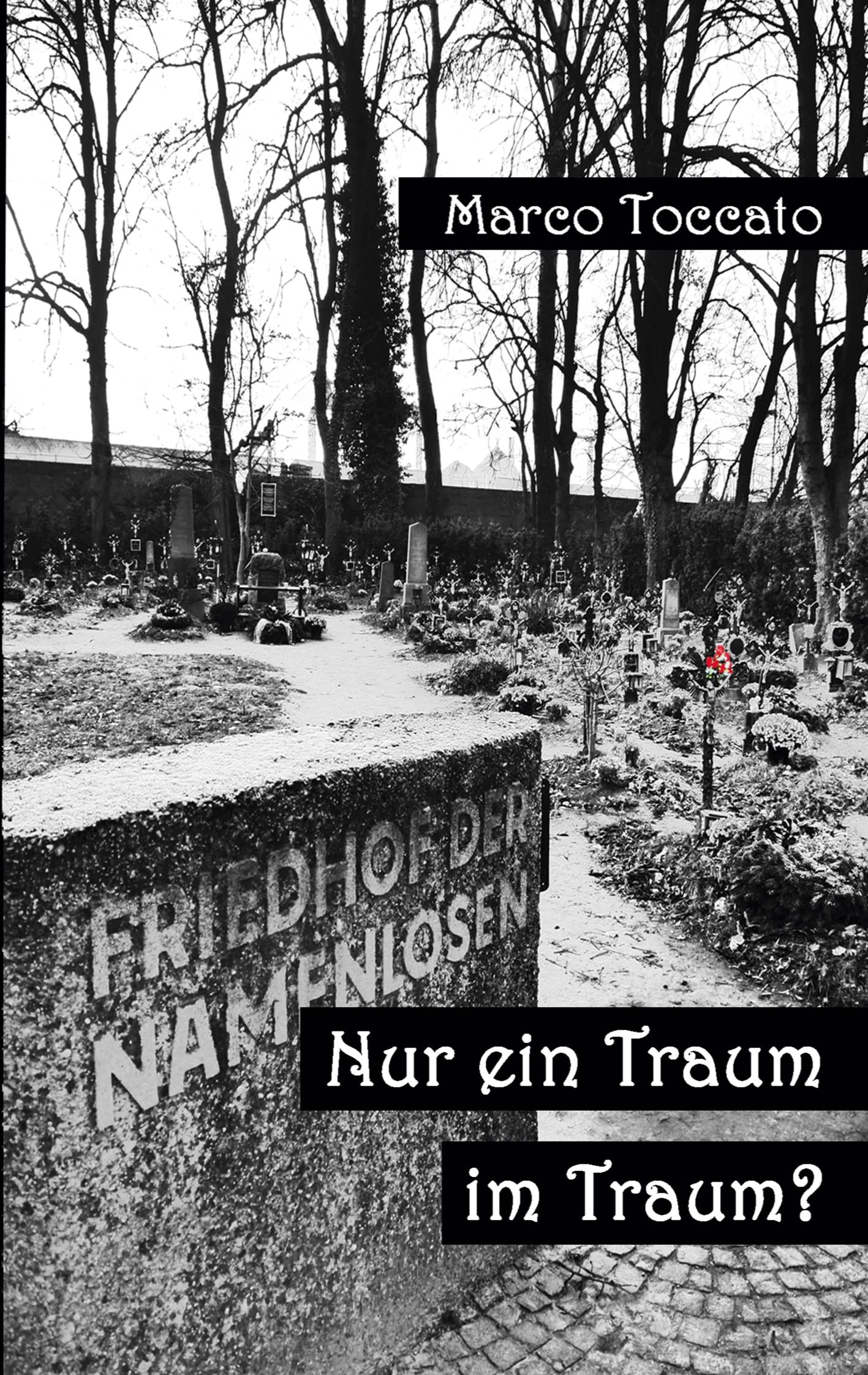 Nur ein Traum im Traum?: Nura Draam in am Draam? (Wiener Träume) Social Sciences