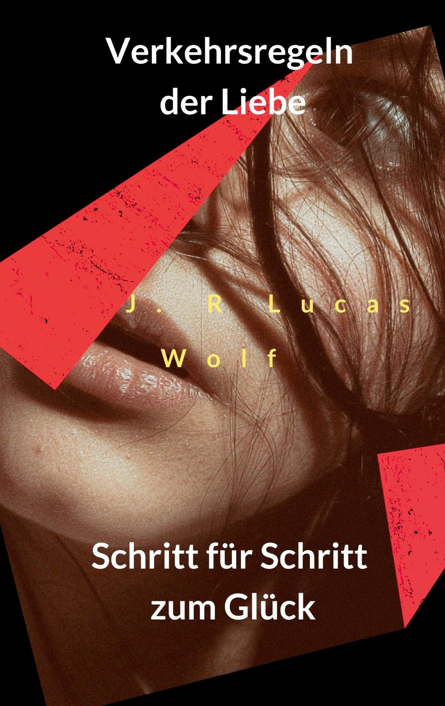 Verkehrsregeln der Liebe: Schritt für Schritt zum Glück Social Sciences