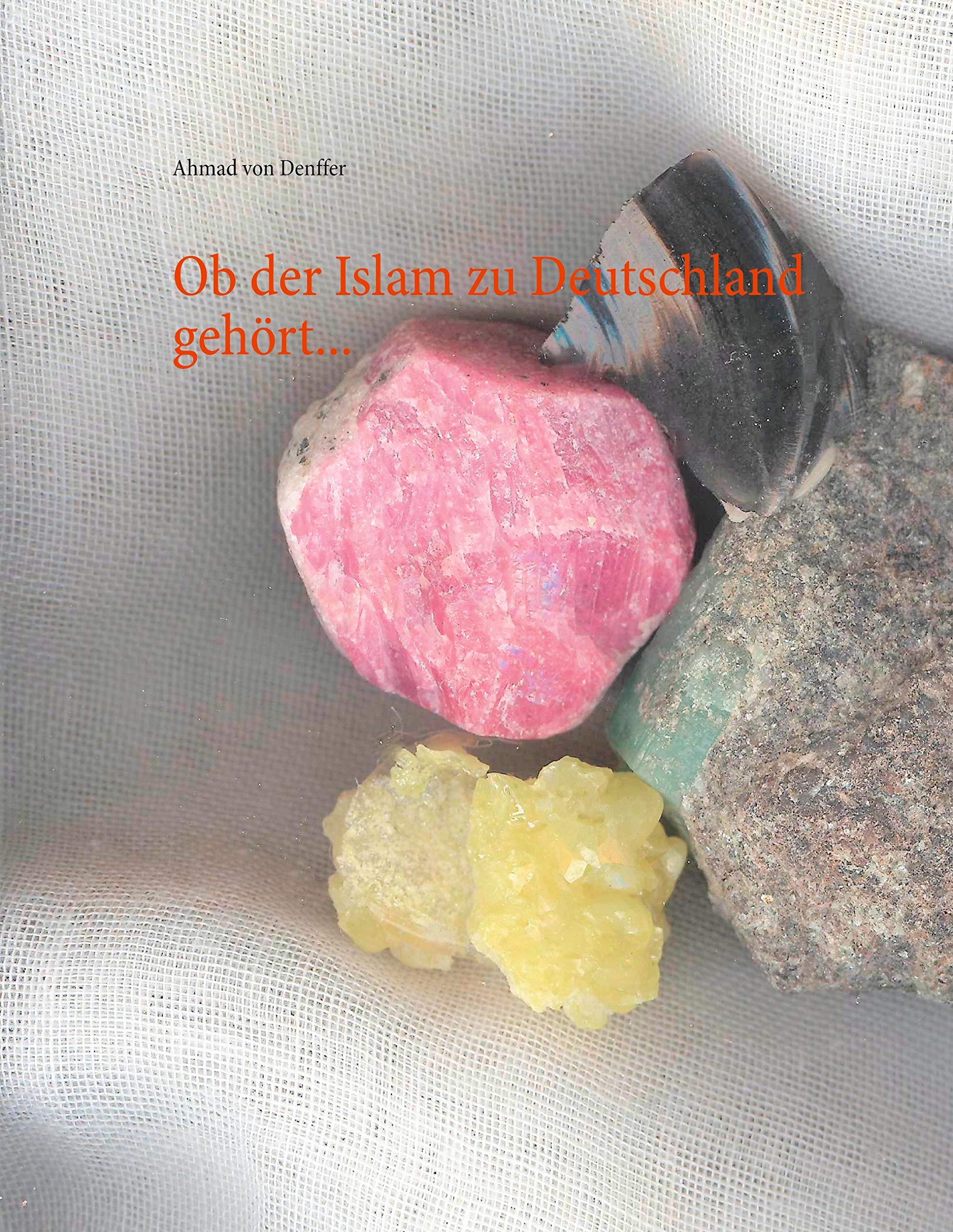 Ob der Islam zu Deutschland gehört... Books