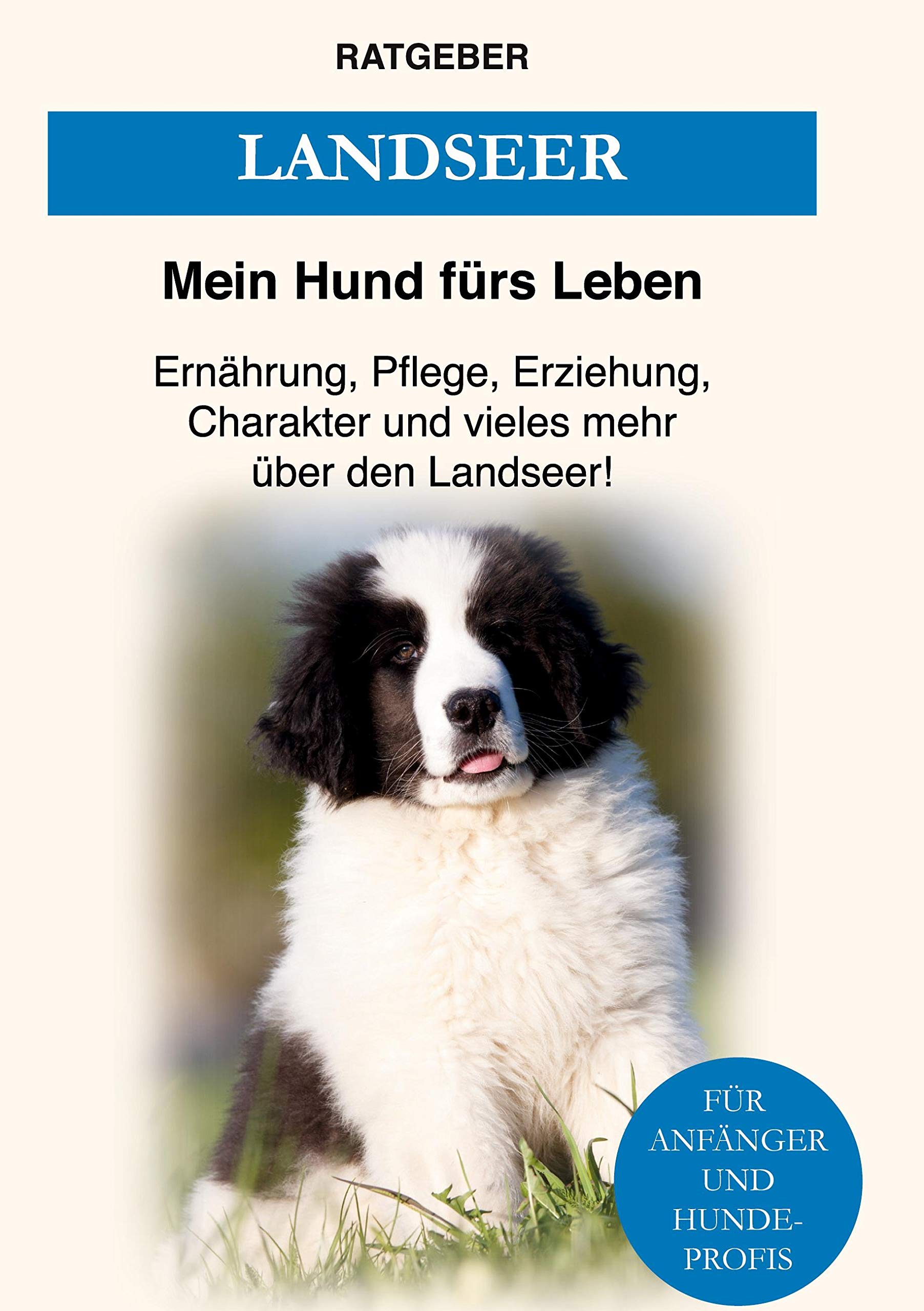 Landseer: Ernährung, Pflege, Erziehung, Charakter und vieles mehr über den Landseer Pets