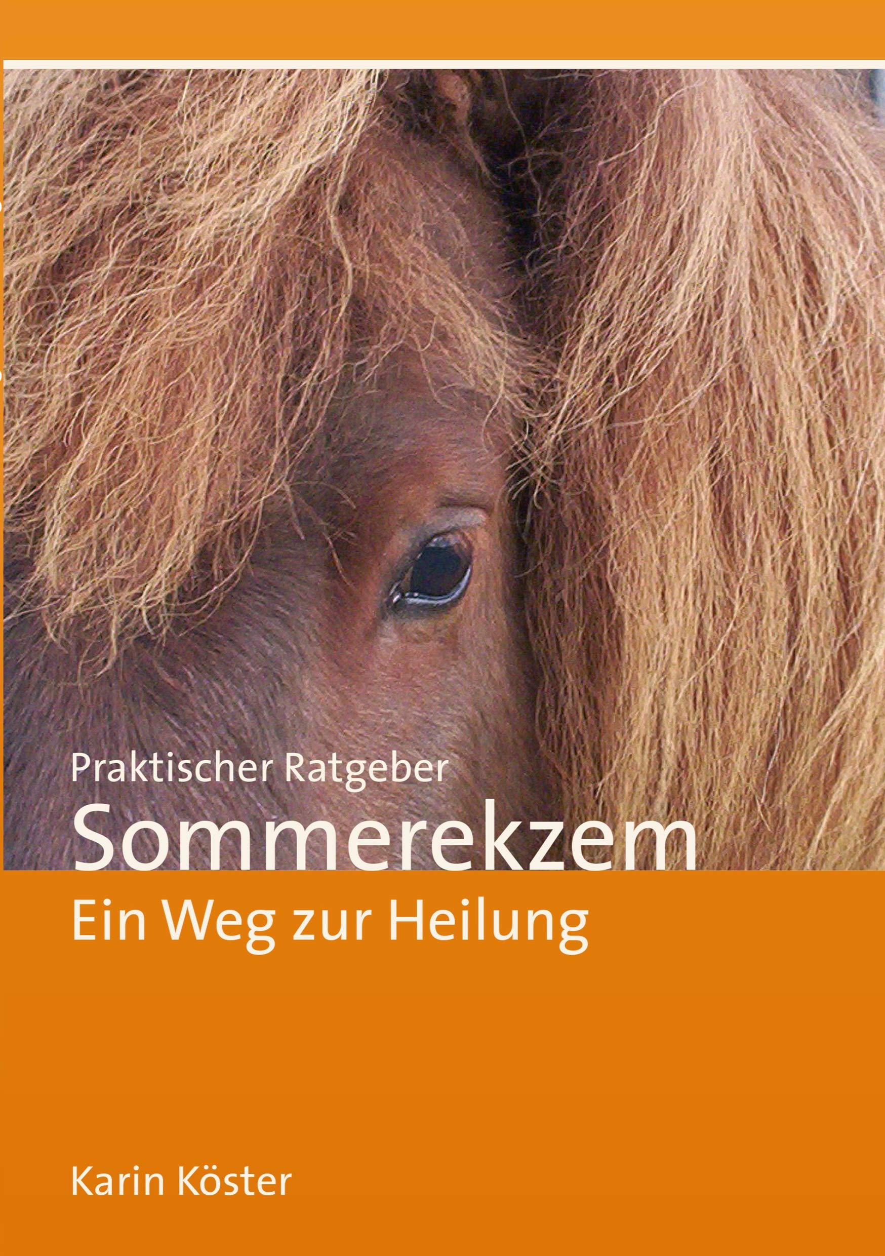 Praktischer Ratgeber Sommerekzem Medicine