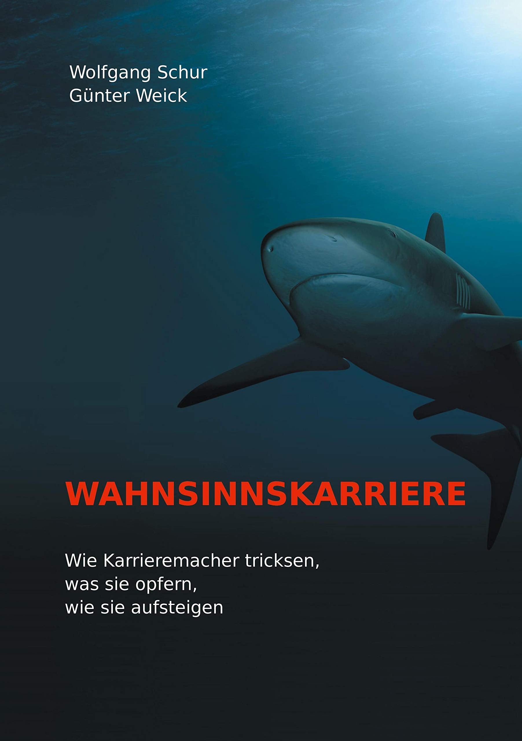 Wahnsinnskarriere Social Sciences