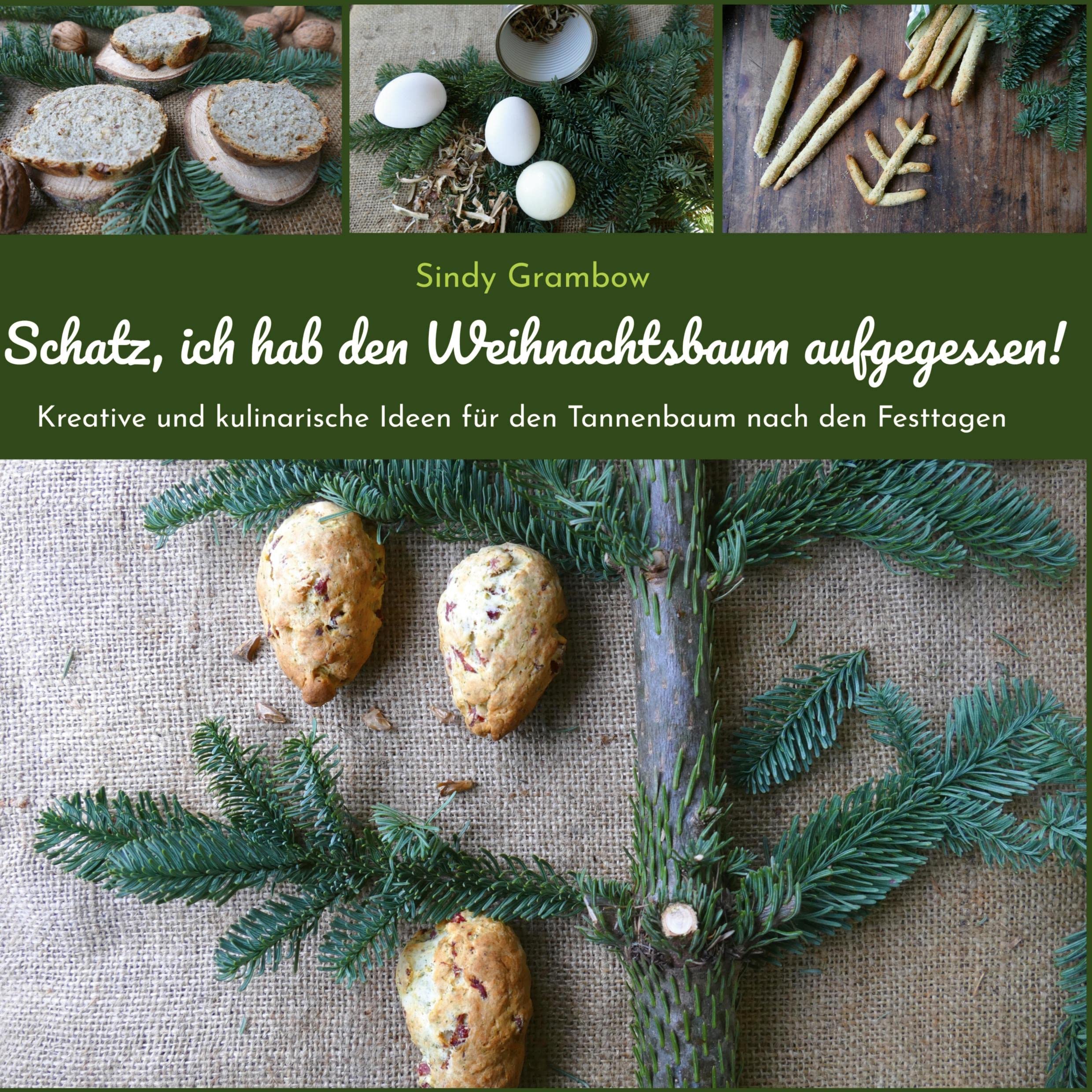 Schatz, ich hab den Weihnachtsbaum aufgegessen! book