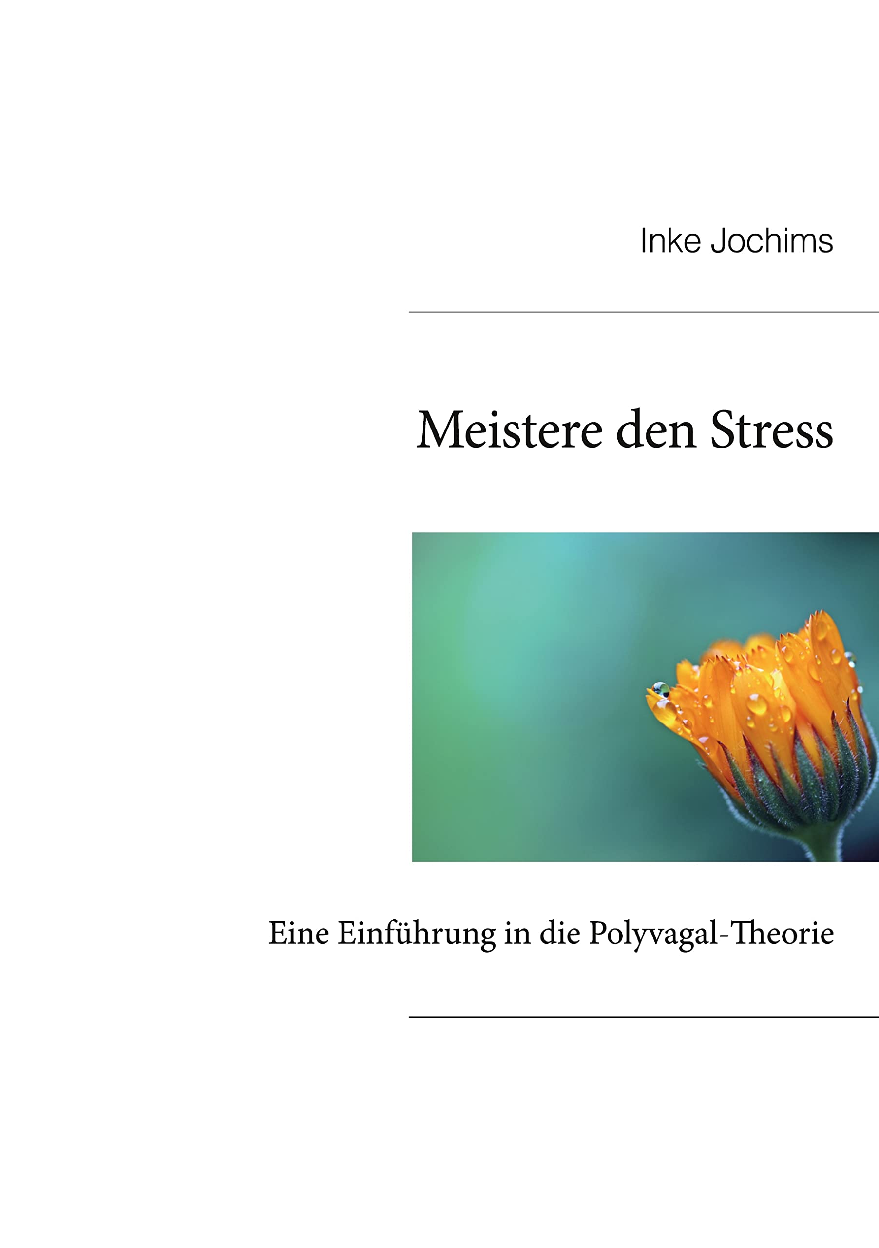 Meistere den Stress: Eine Einführung in die Polyvagal-Theorie Medicine