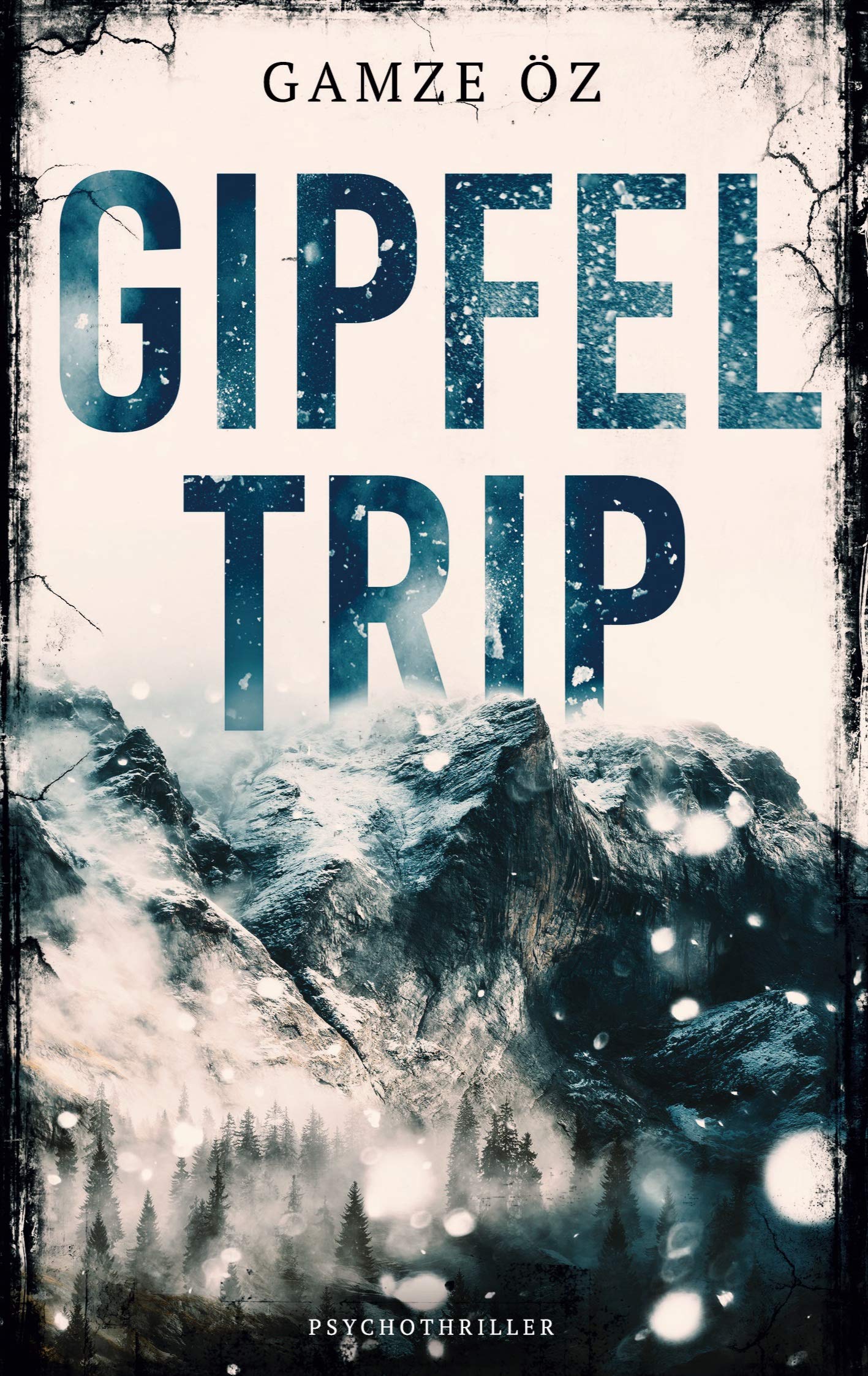 Gipfeltrip Contemporary literature Books