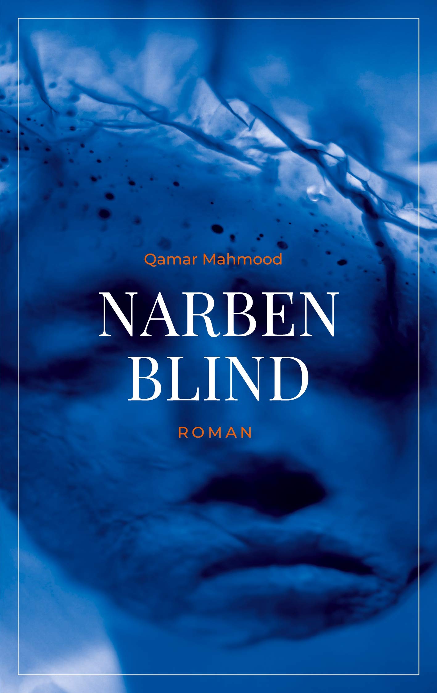 Narbenblind Contemporary literature Books