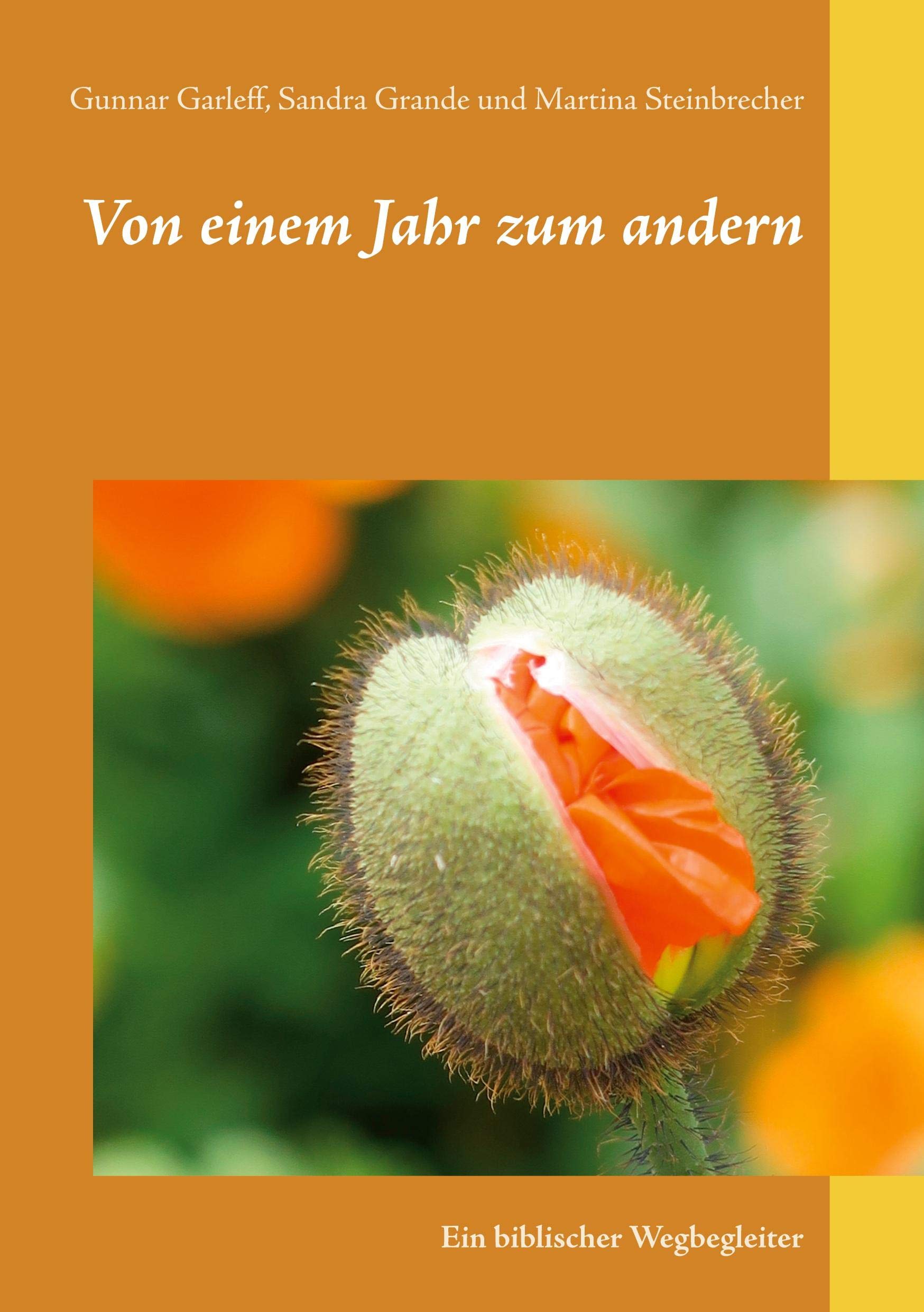 Von einem Jahr zum andern book