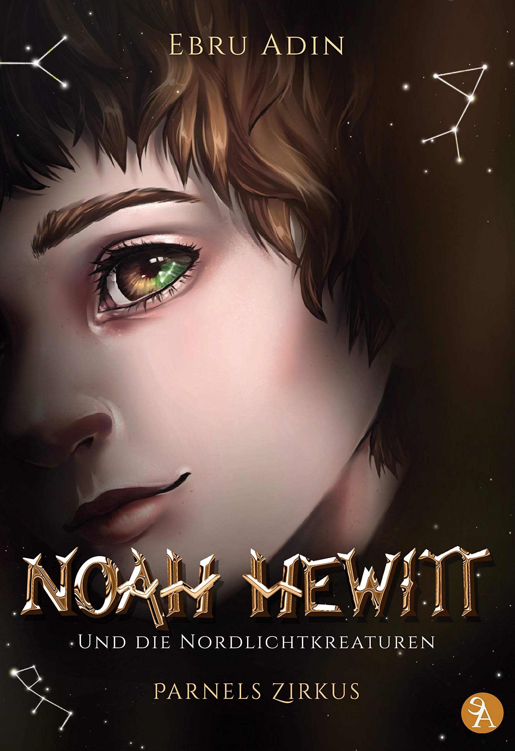 Noah Hewitt und die Nordlichtkreaturen book