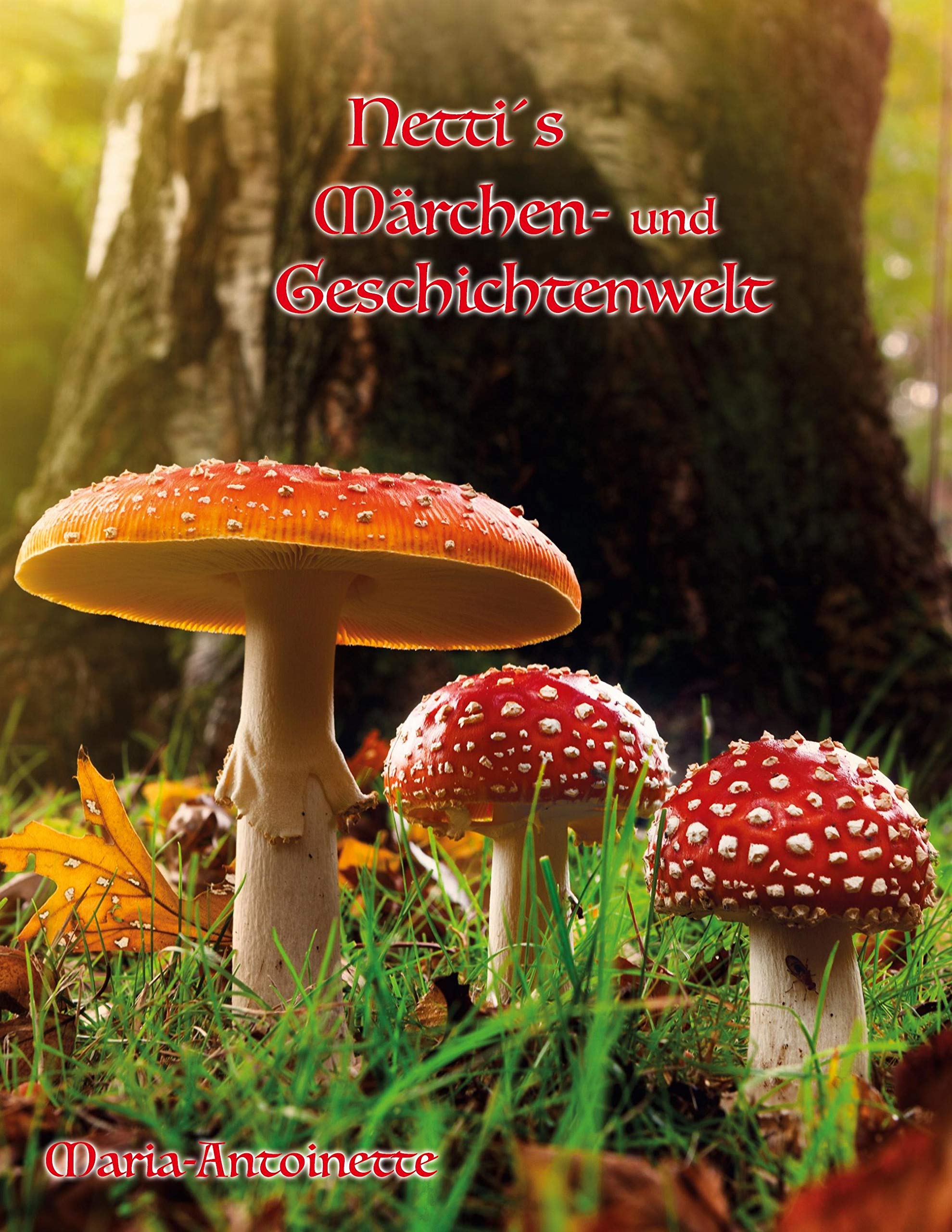 Netti's Märchen-und Geschichtenwelt book