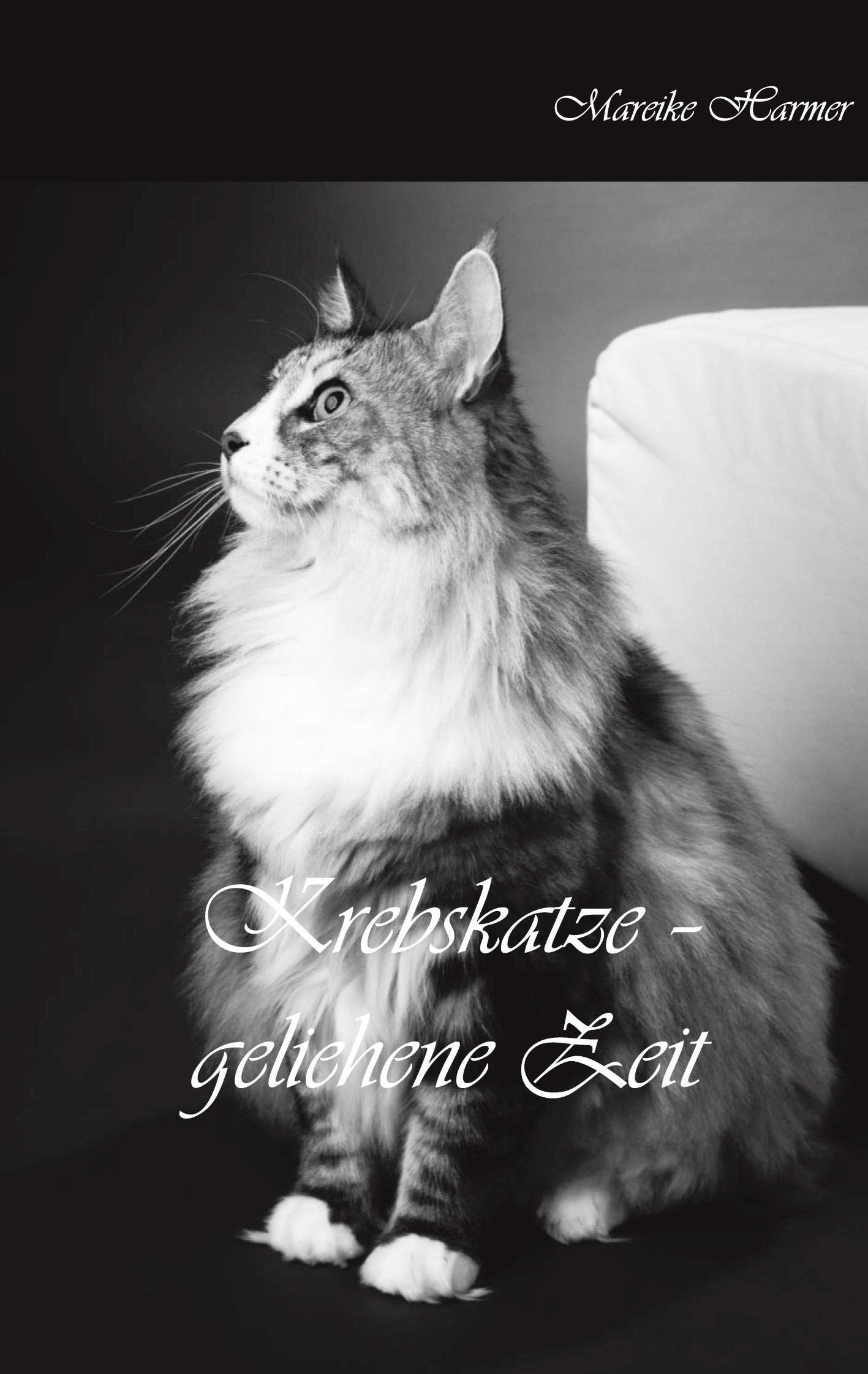 Krebskatze: geliehene Zeit book