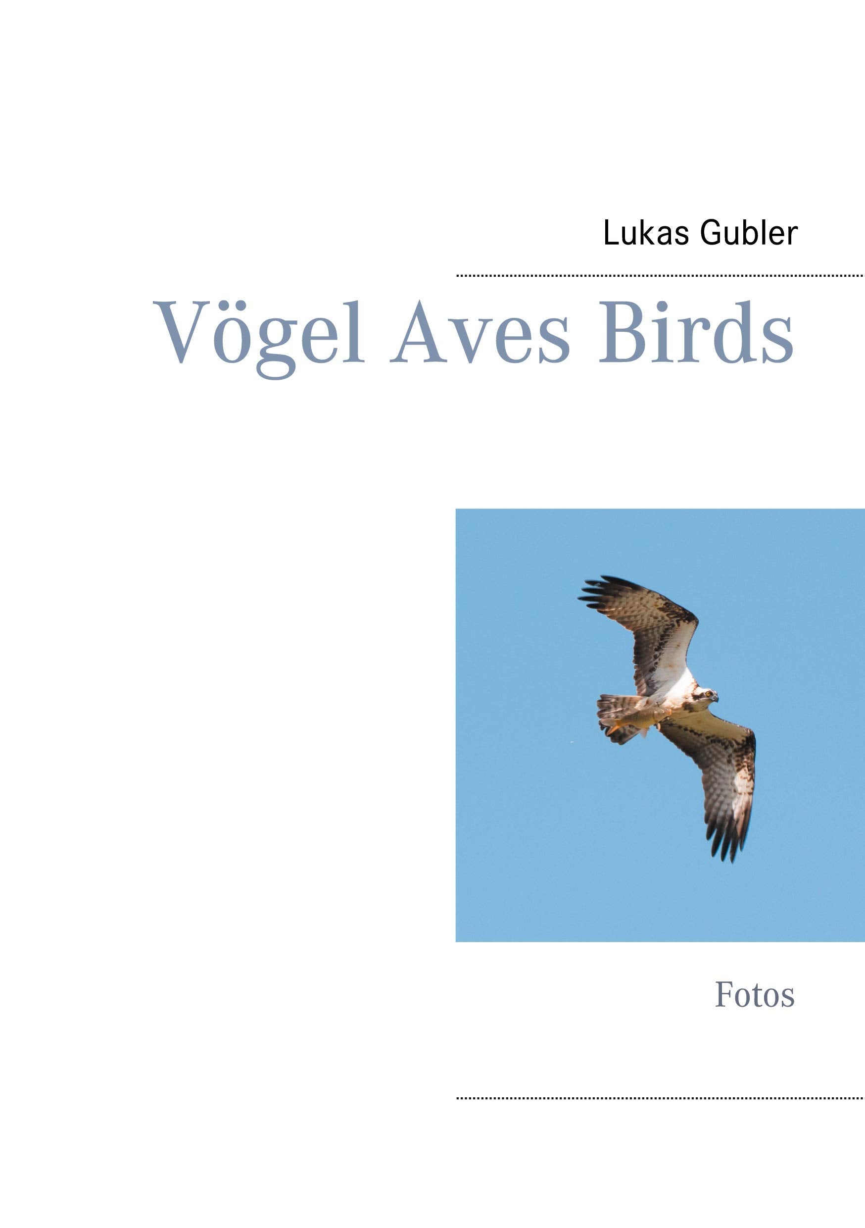 Vögel Aves Birds Architecture
